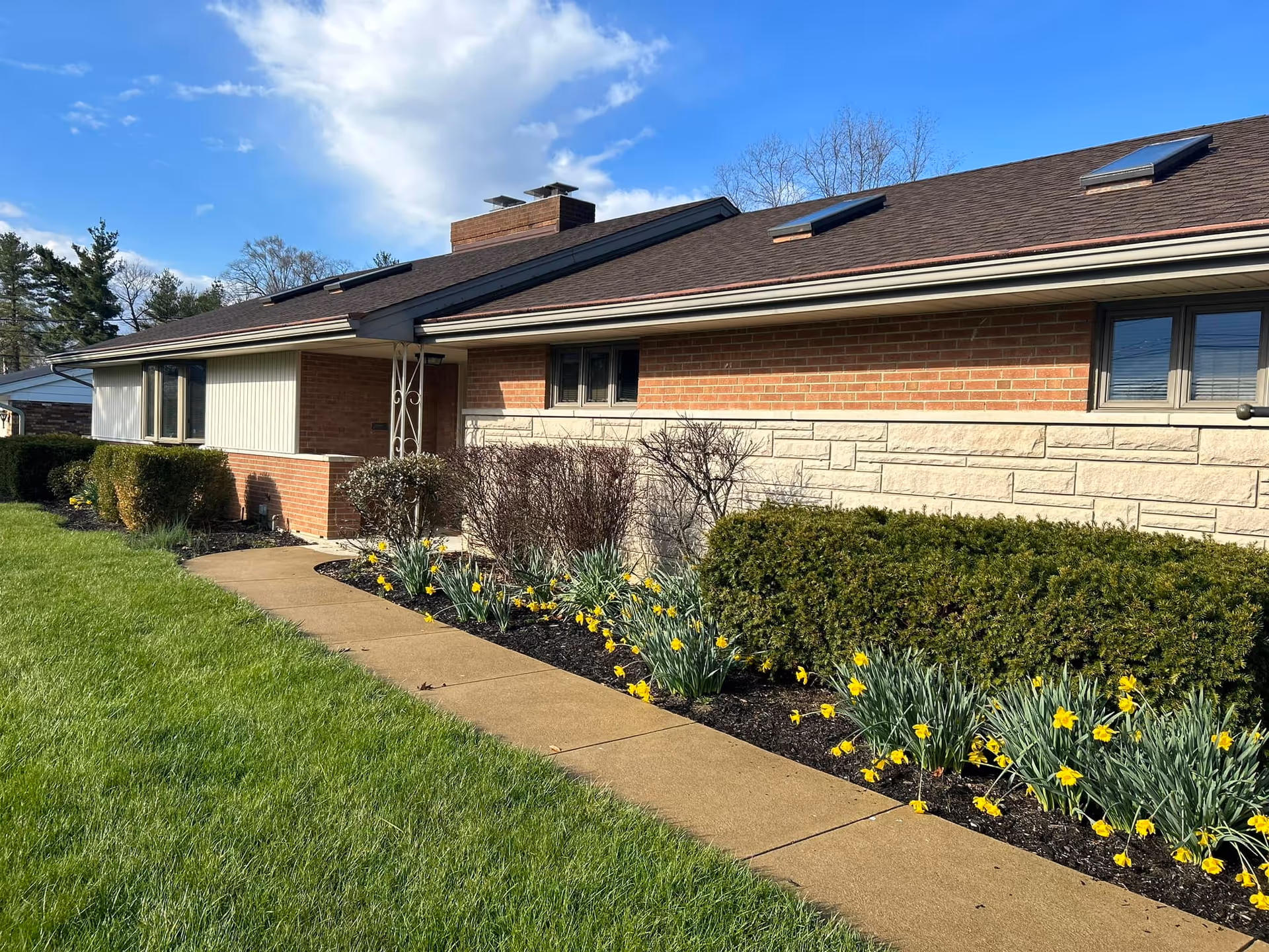Single-story brick senior living facility exterior with a landscaped walkway and yellow daffodils.