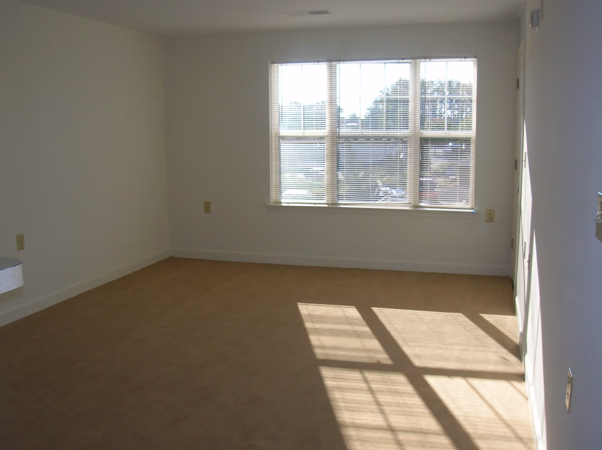 Empty carpeted room with white walls and a large window casting sunlight through blinds onto the floor.