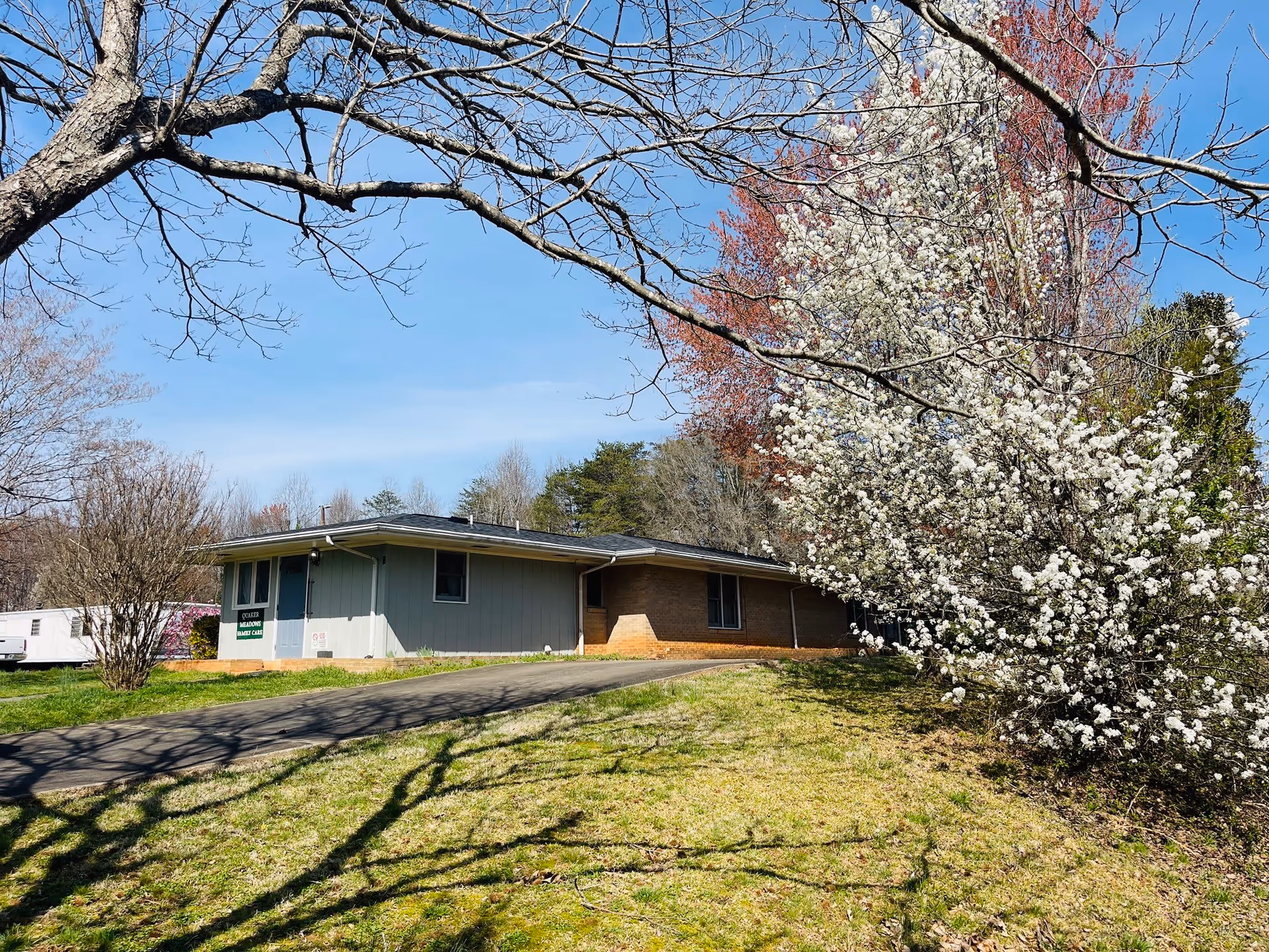 Single-story building with a light blue and brick exterior surrounded by trees, including one with white blossoms, under a clear blue sky.