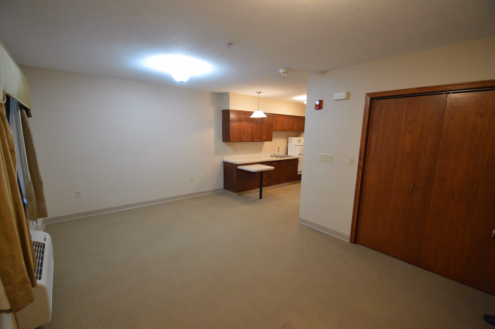 Empty open-plan living area with beige carpet, a small kitchenette with wood cabinets, and a large wood closet.