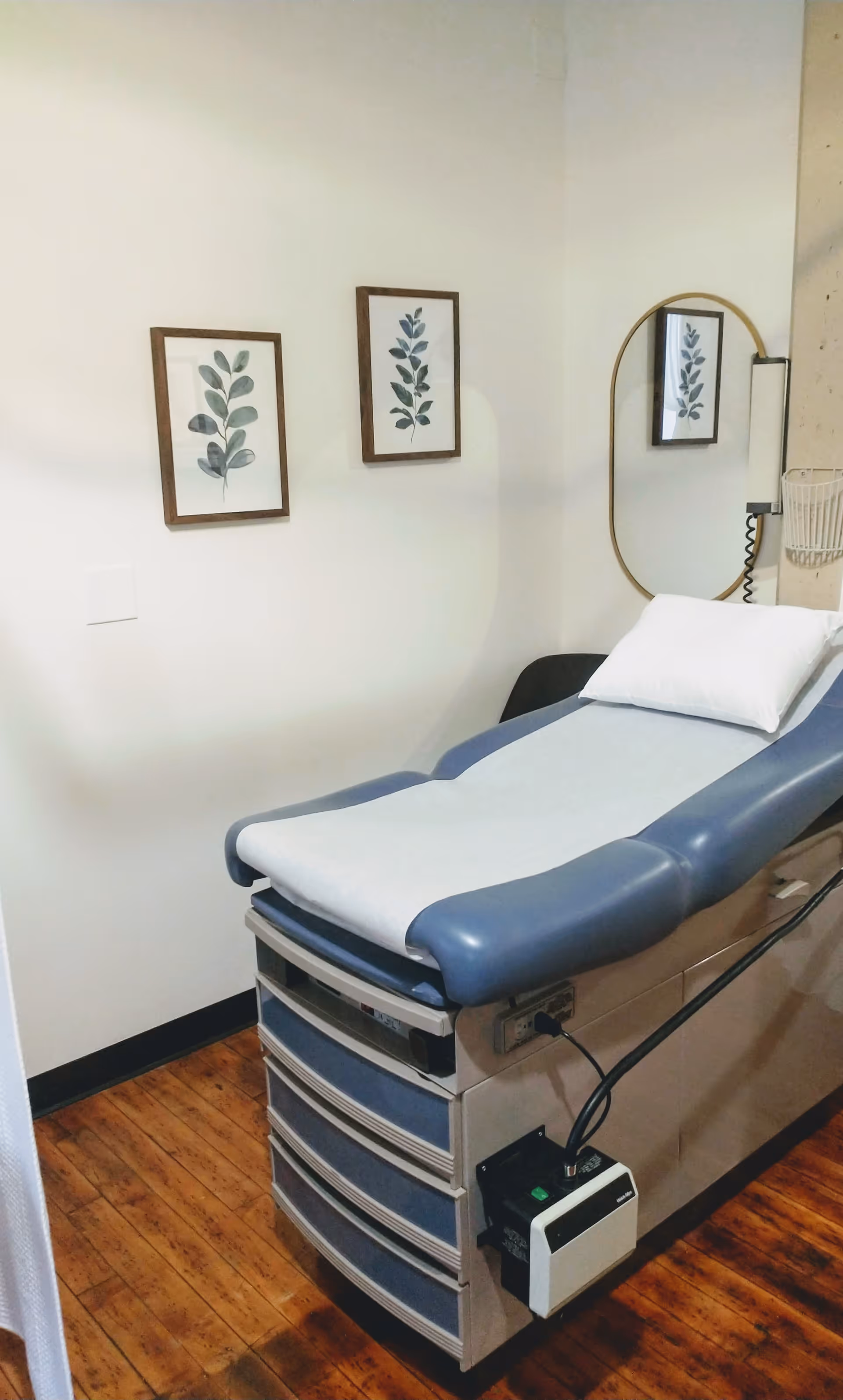 Blue medical examination chair in a small treatment room with plant-themed wall art.