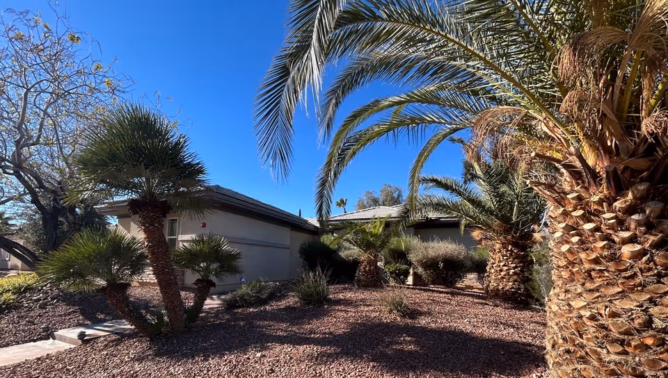 Desert landscaping with palm trees surrounds a beige single-story facility exterior under blue sky.