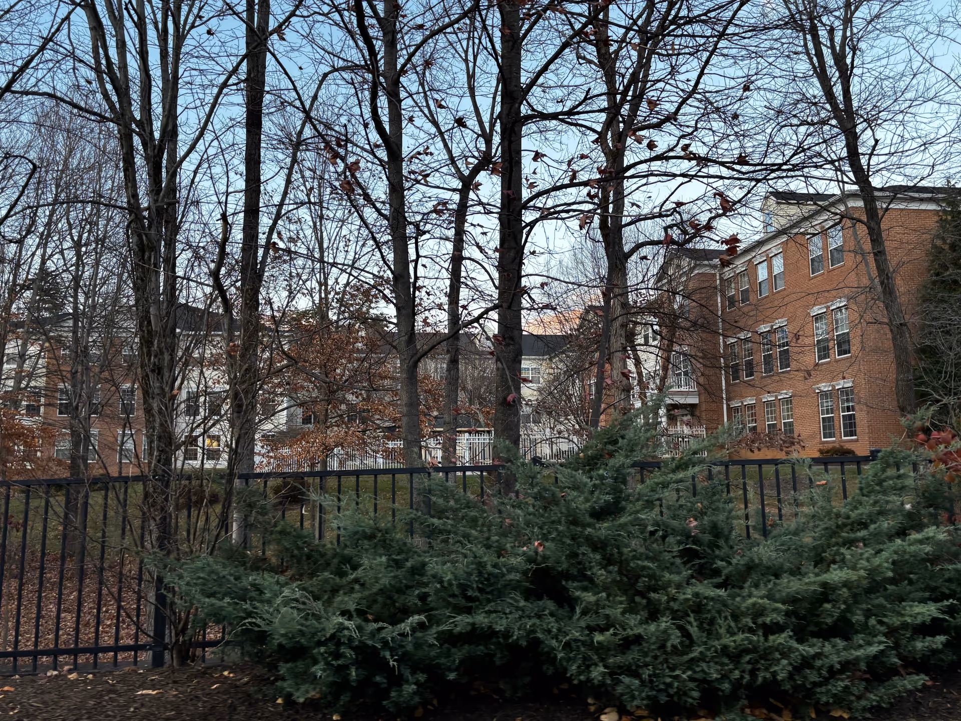 Brick multi-story senior living building seen behind bare trees, shrubs, and a black metal fence.