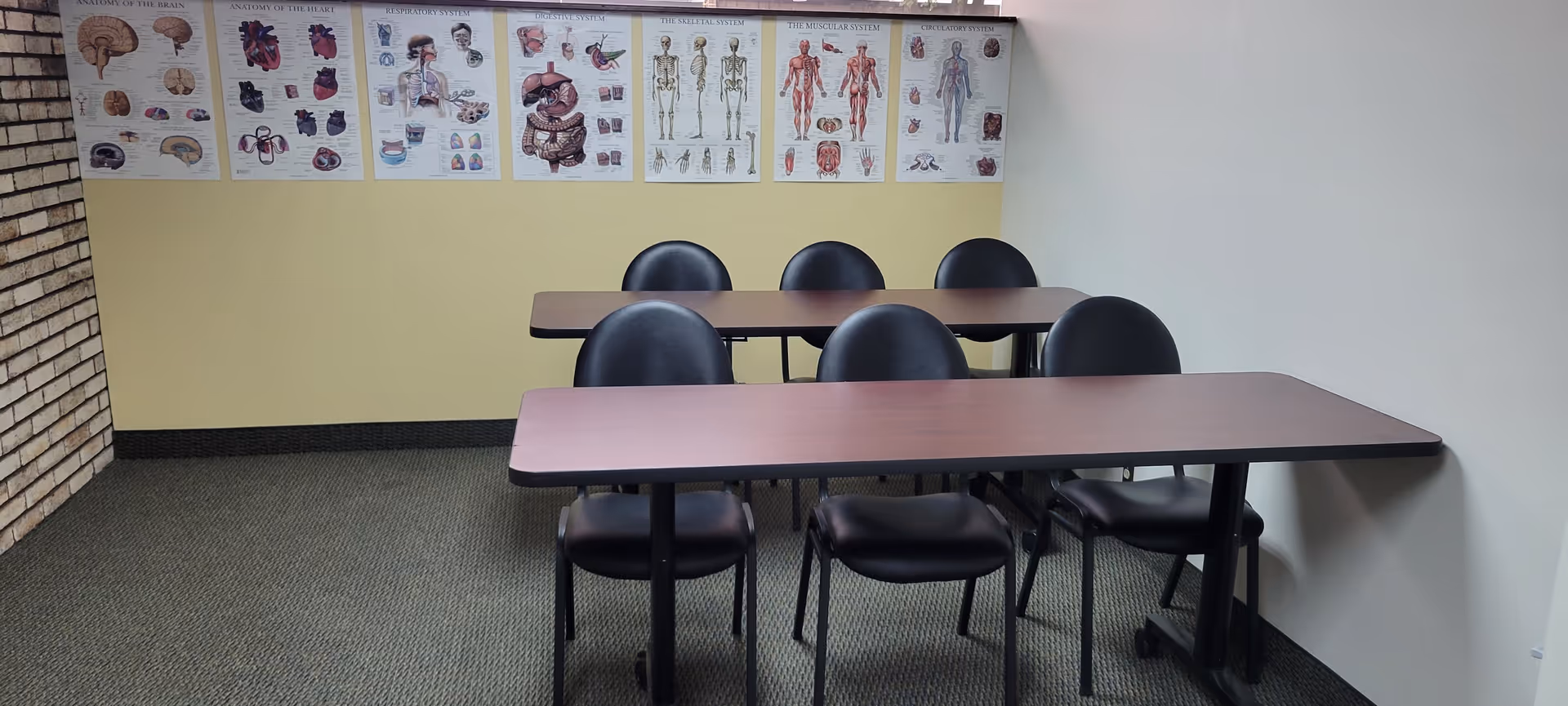 Empty training room with two long brown tables, black chairs, and anatomy posters on the wall.