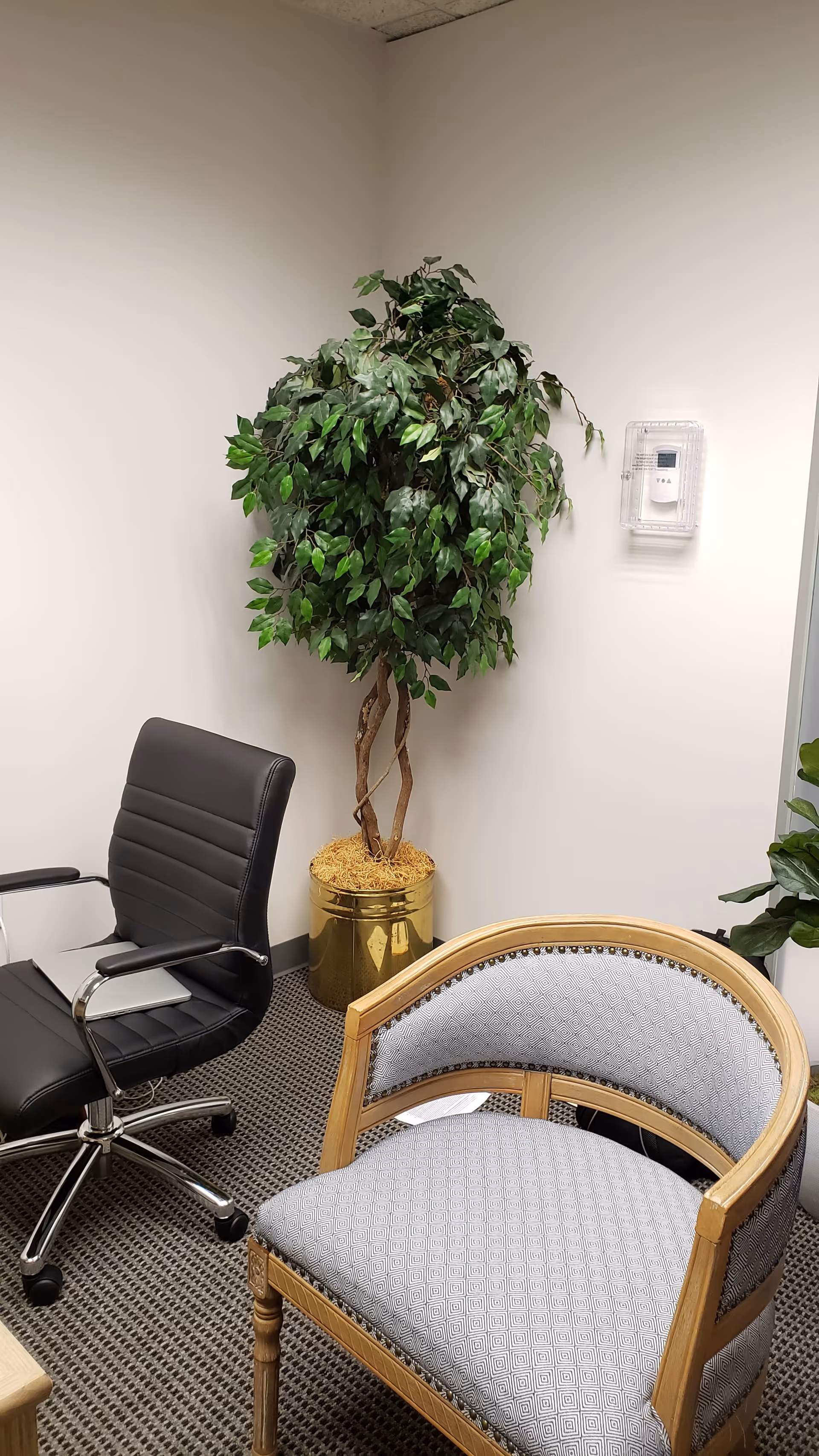 Indoor waiting area with a potted plant, a black office chair, and a patterned armchair.
