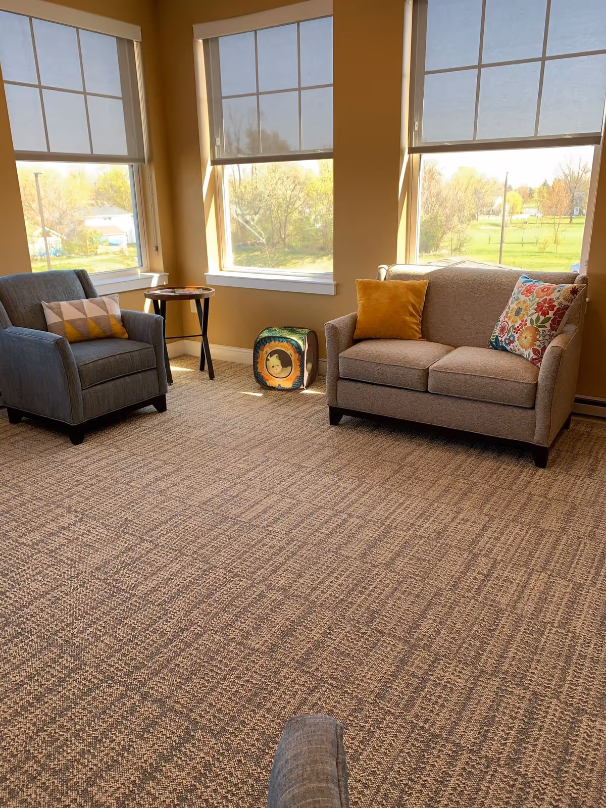 A cozy sitting area with a gray armchair and a beige loveseat, each adorned with decorative pillows. Between them is a small round wooden side table and a colorful cube-shaped ottoman with a cat design. Large windows with white blinds allow natural light to fill the room, showing a view of trees and greenery outside. The floor is covered with a patterned carpet.