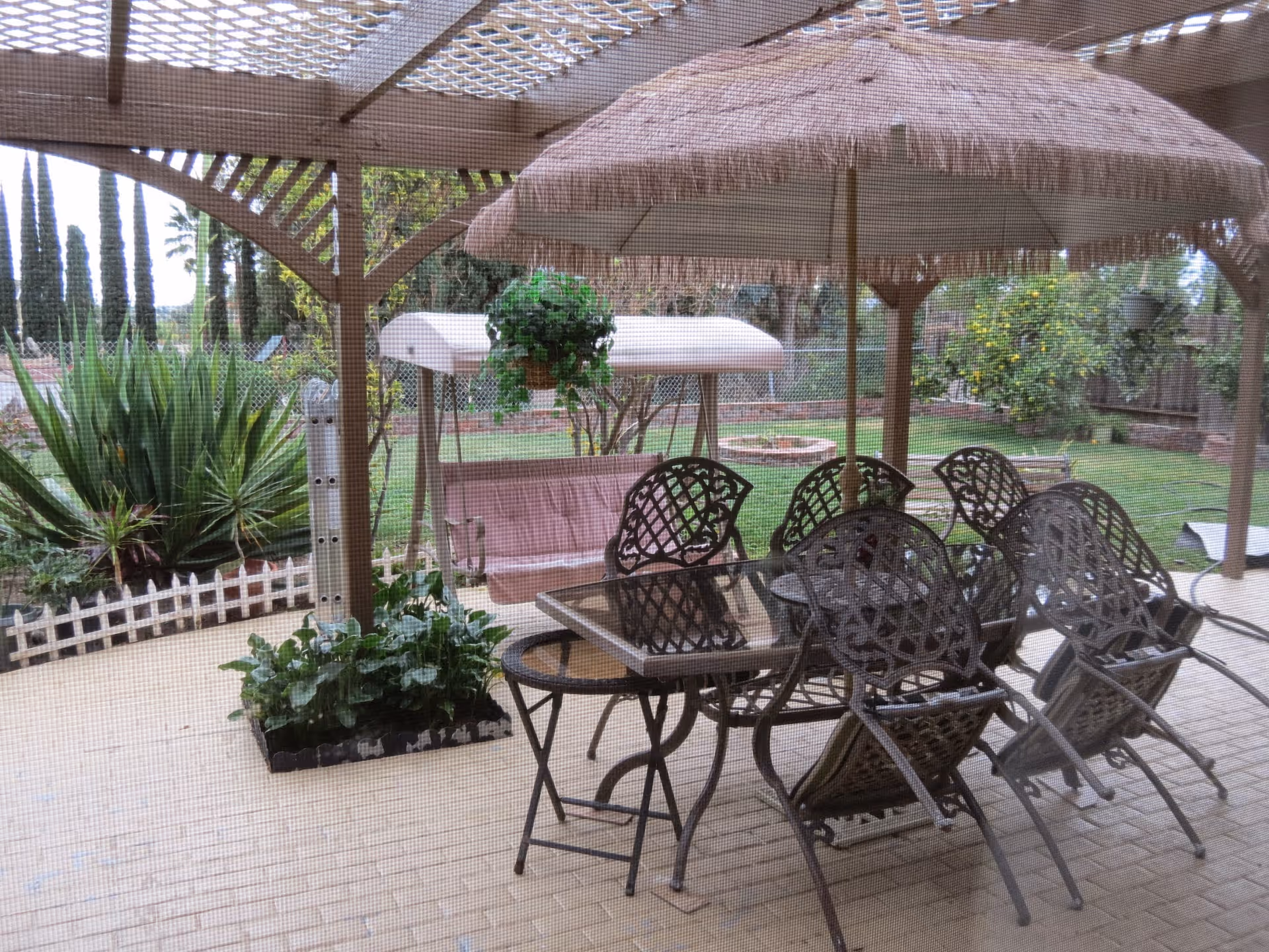View of an outdoor patio area with a glass-top table surrounded by six metal chairs, a large umbrella with fringe, a hanging plant, a cushioned swing, and various plants and greenery in the background, all seen through a mesh screen.