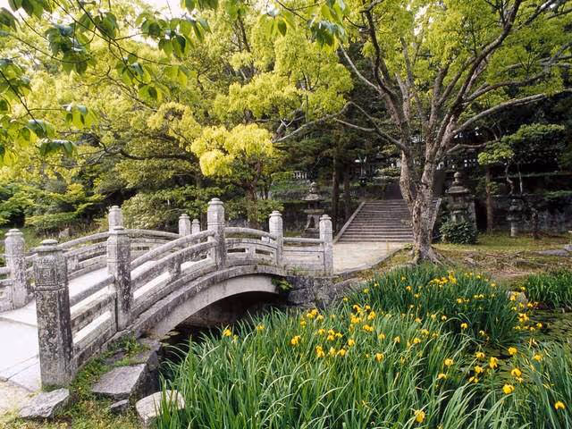 Stone arched bridge across a pond surrounded by green trees and yellow irises.