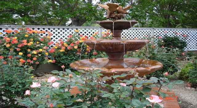 Tiered outdoor fountain surrounded by blooming roses and a lattice garden fence.
