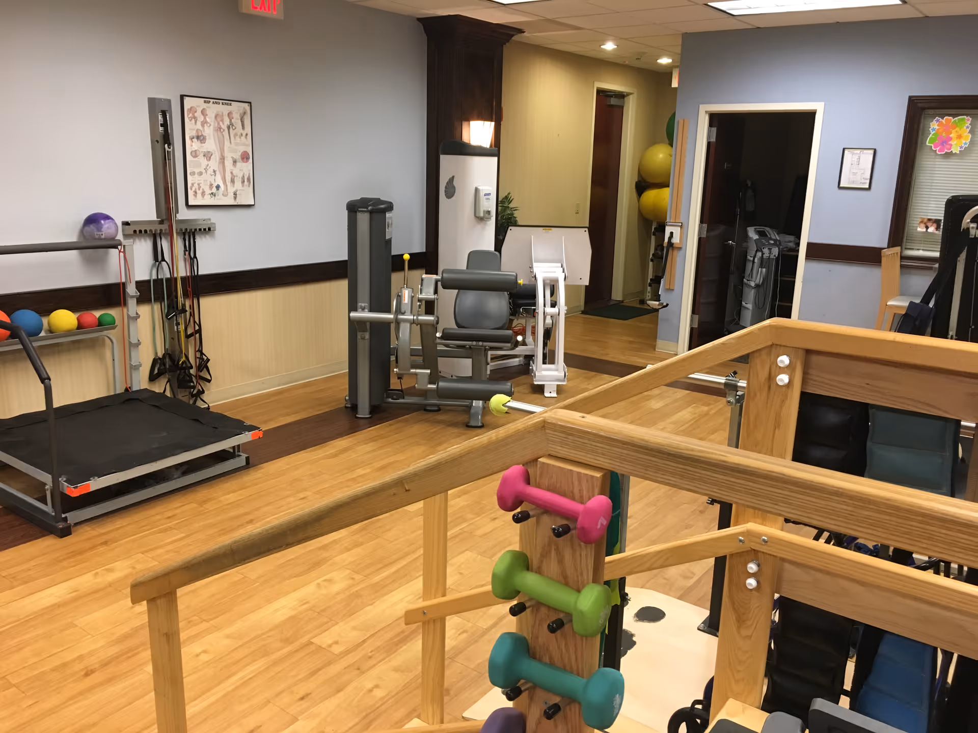 Indoor physical therapy gym with treadmills, weight machines, and colorful dumbbells.