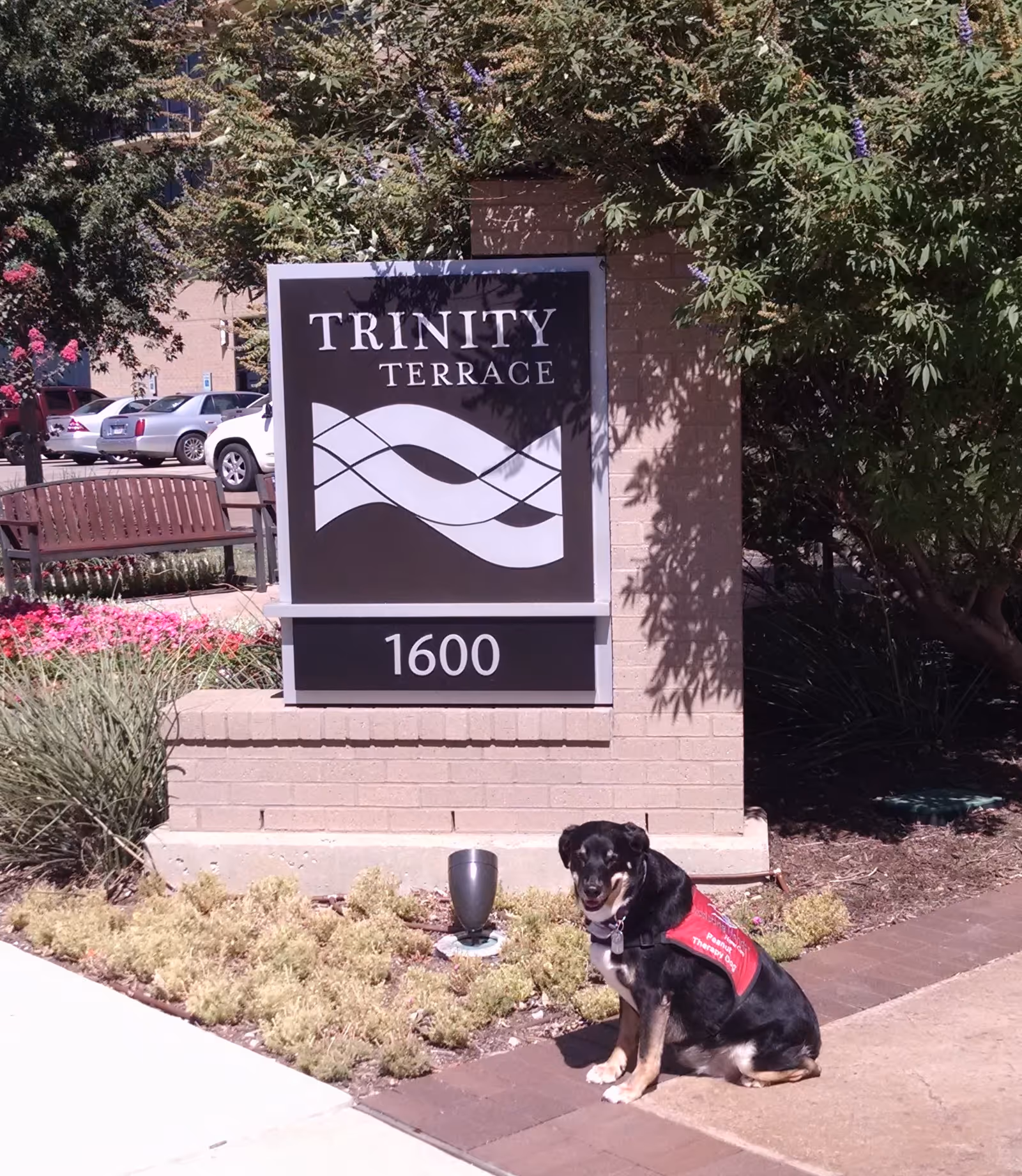 A black-and-tan dog wearing a red vest sits beside the Trinity Terrace 1600 sign.