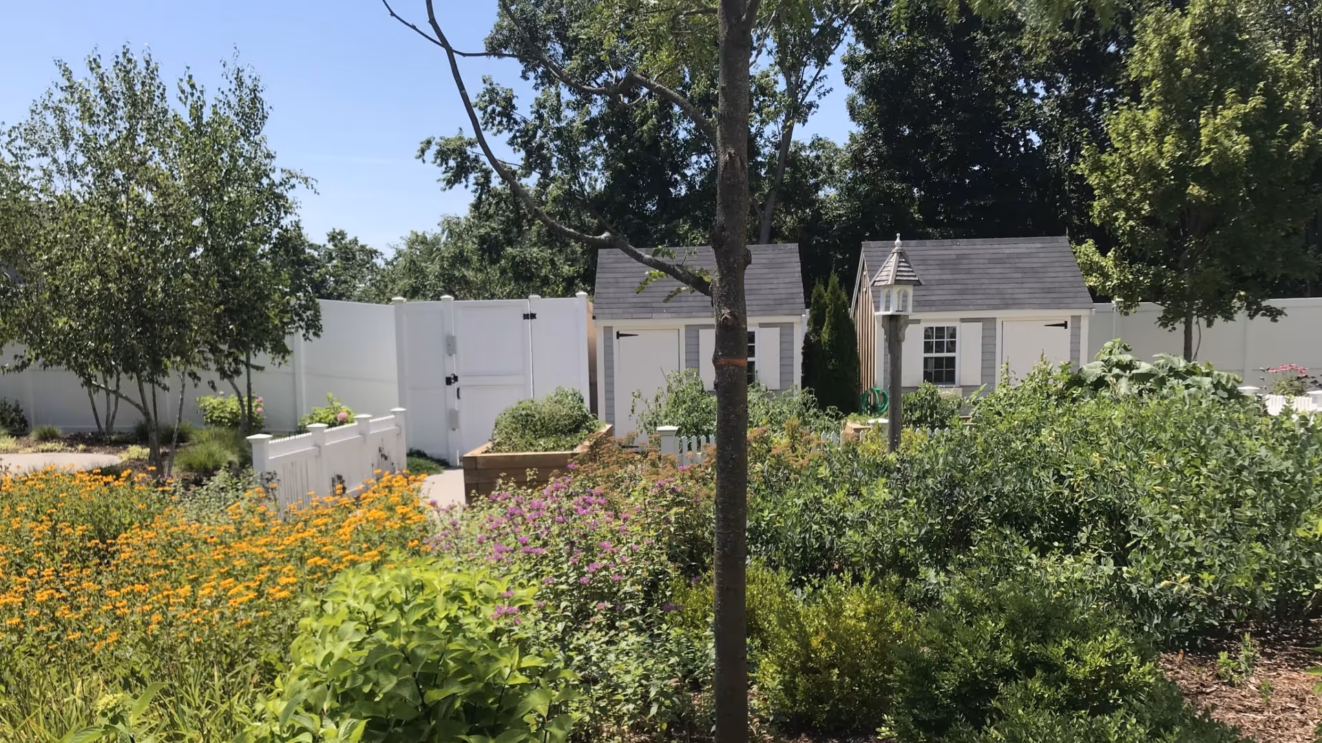 A garden area with various green plants and colorful flowers, two small gray and white sheds, a white fence, and a birdhouse on a post under a clear blue sky.