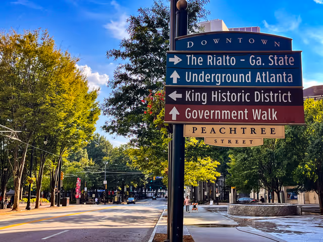 Sunny urban street with colorful direction signs among trees in a downtown area