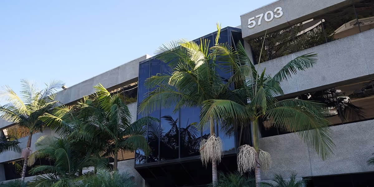 Front exterior of a modern building with large windows and palm trees.