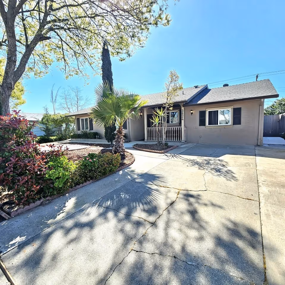 Single-story residential building with a small porch, surrounded by various trees and shrubs, under a clear blue sky. The driveway in front has visible cracks and shadows from nearby trees.