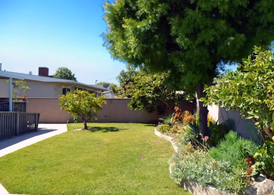 Sunlit fenced backyard with a grassy lawn, small trees, a paved walkway, and garden beds along a wall.