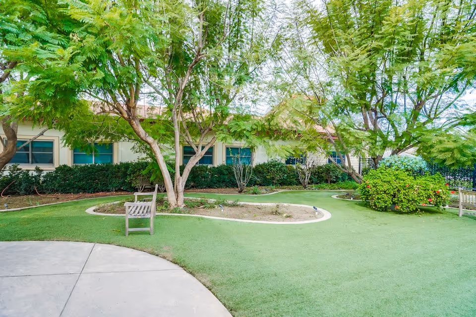 Outdoor garden area with green grass, trees, bushes, and two wooden benches near a building with multiple windows.