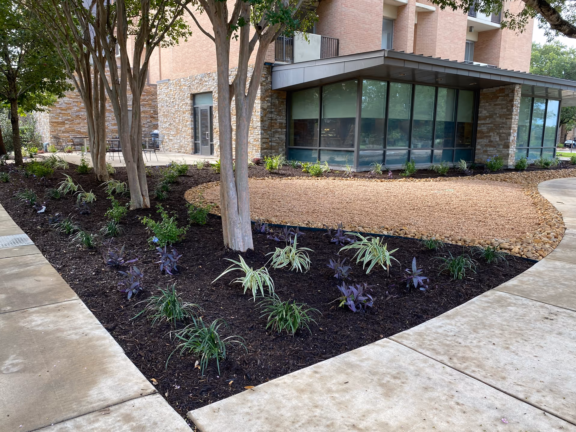 Exterior view of Blue Skies of Texas East with landscaped beds and glass-front entrance.