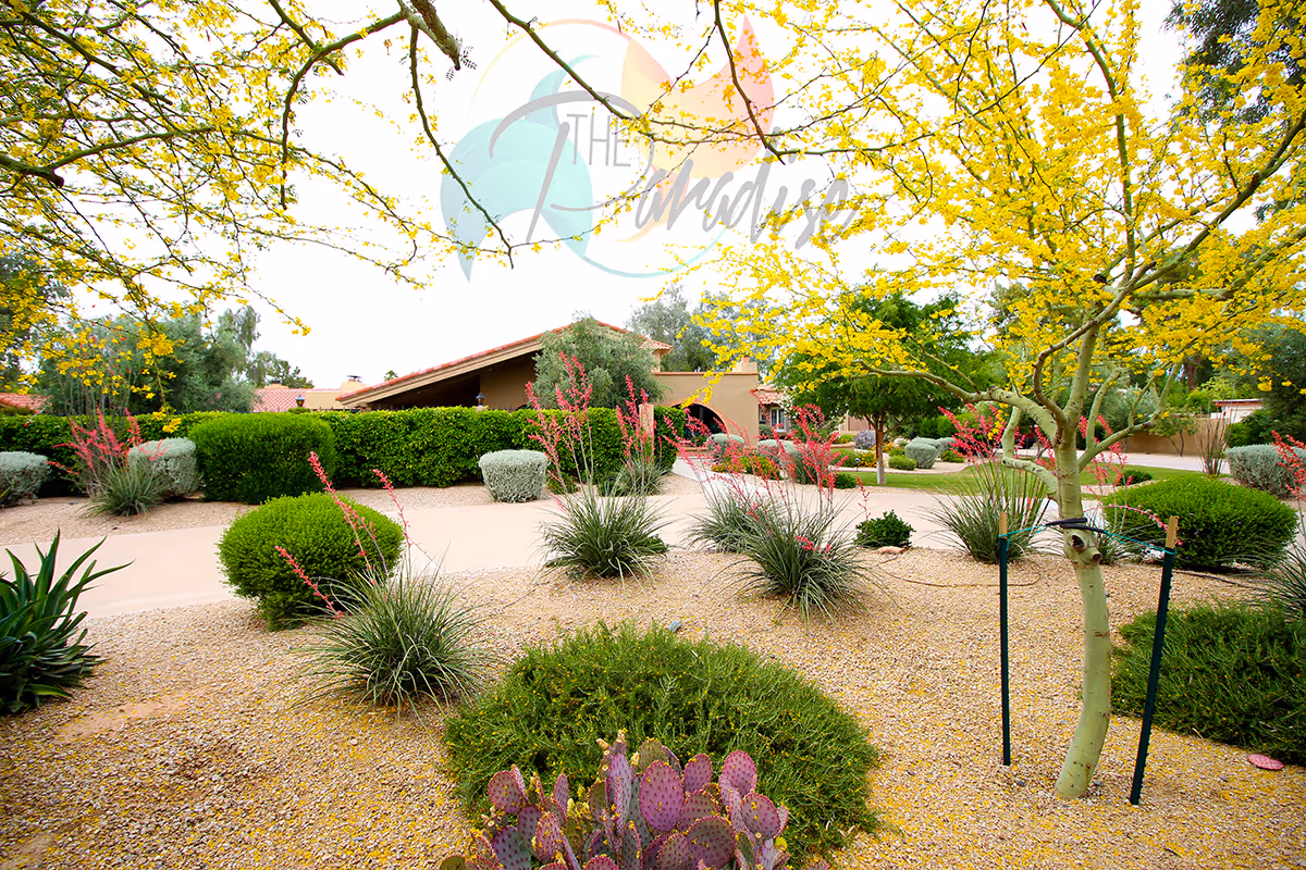 Exterior view of an assisted living home with desert landscaping and entrance pathway.