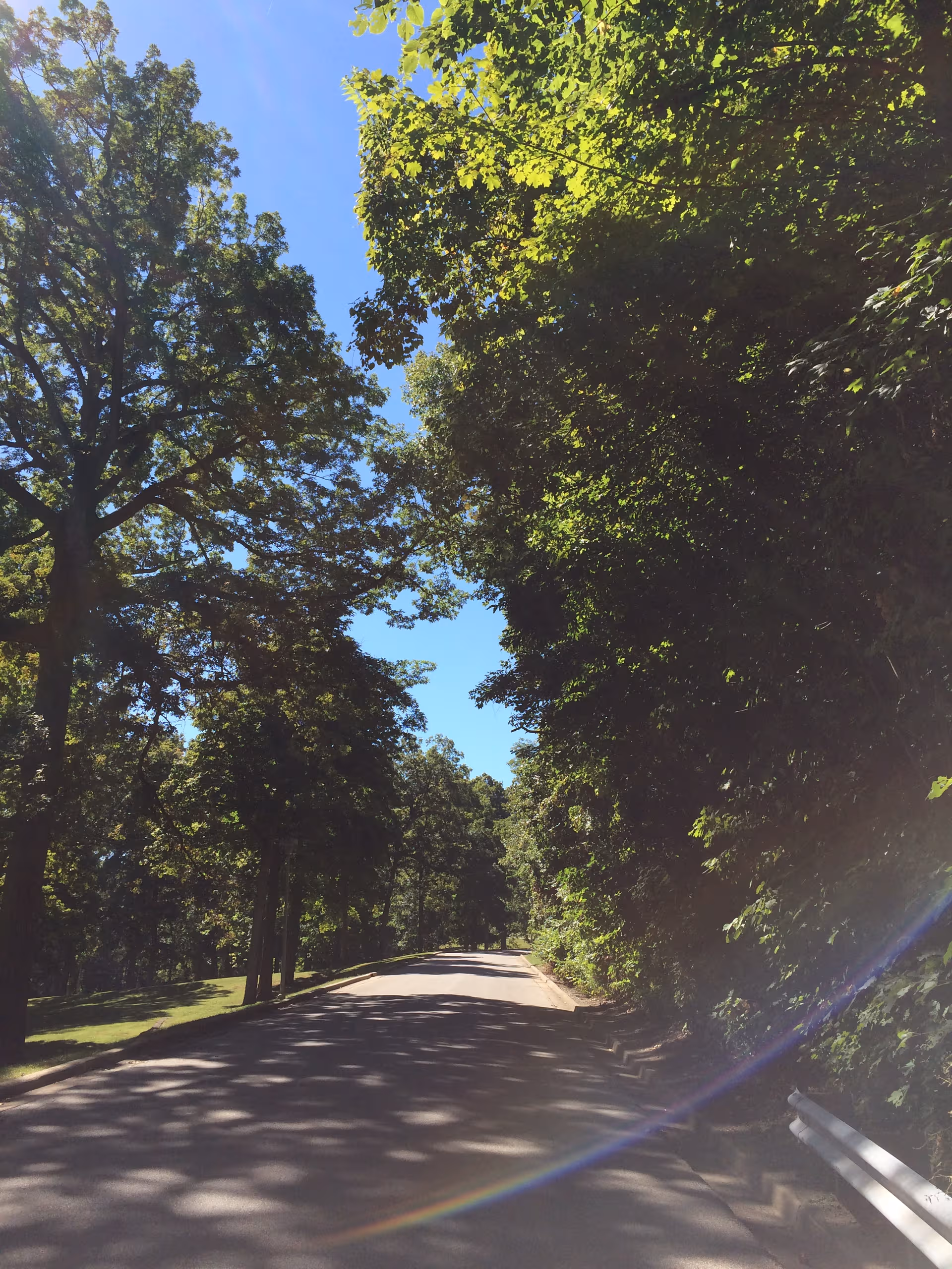 Tree-lined paved road at Indiana Veterans' Home, flanked by tall green trees and blue sky.
