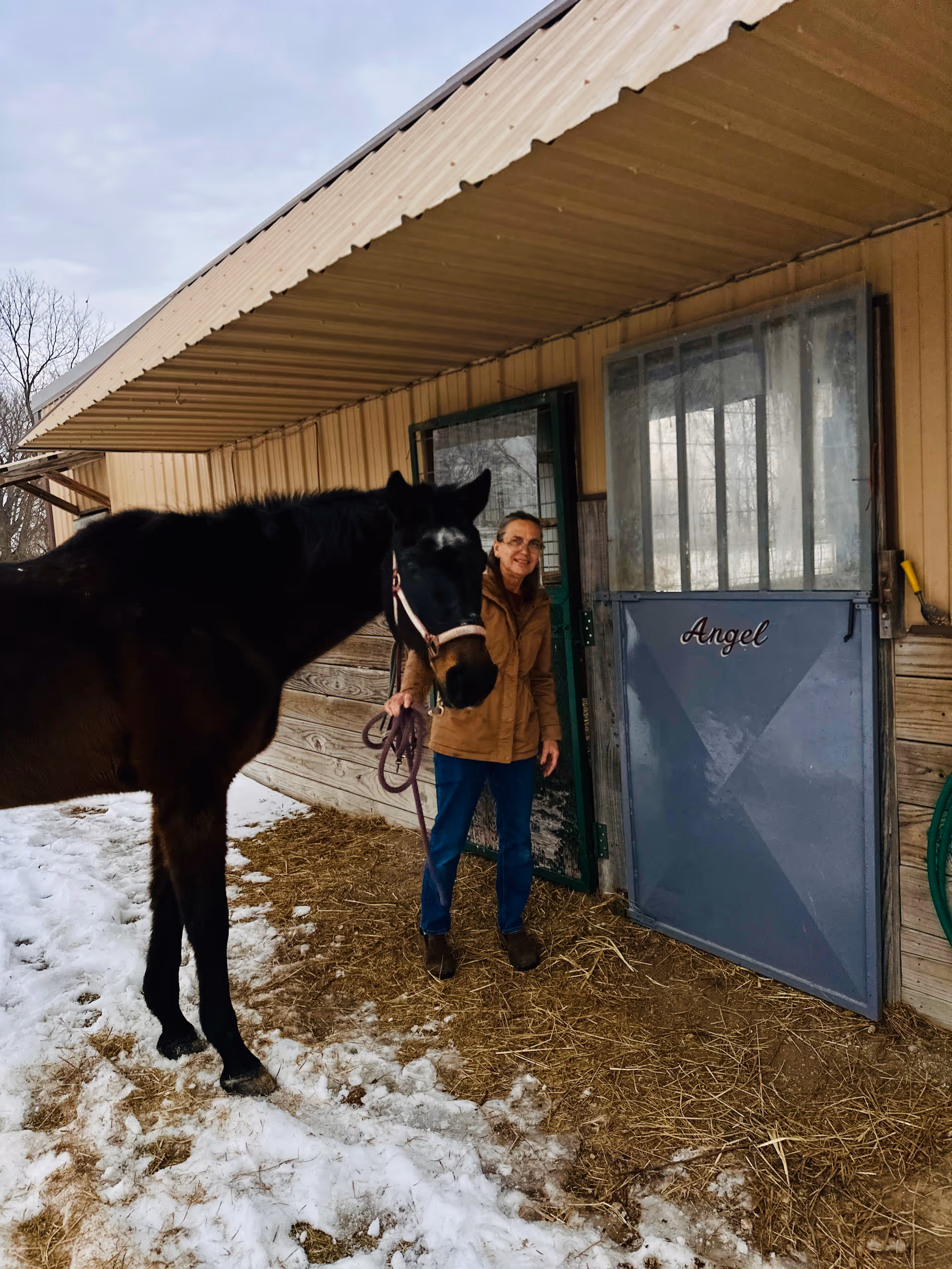 A person with a dark horse stands outside a stable door labeled Angel.
