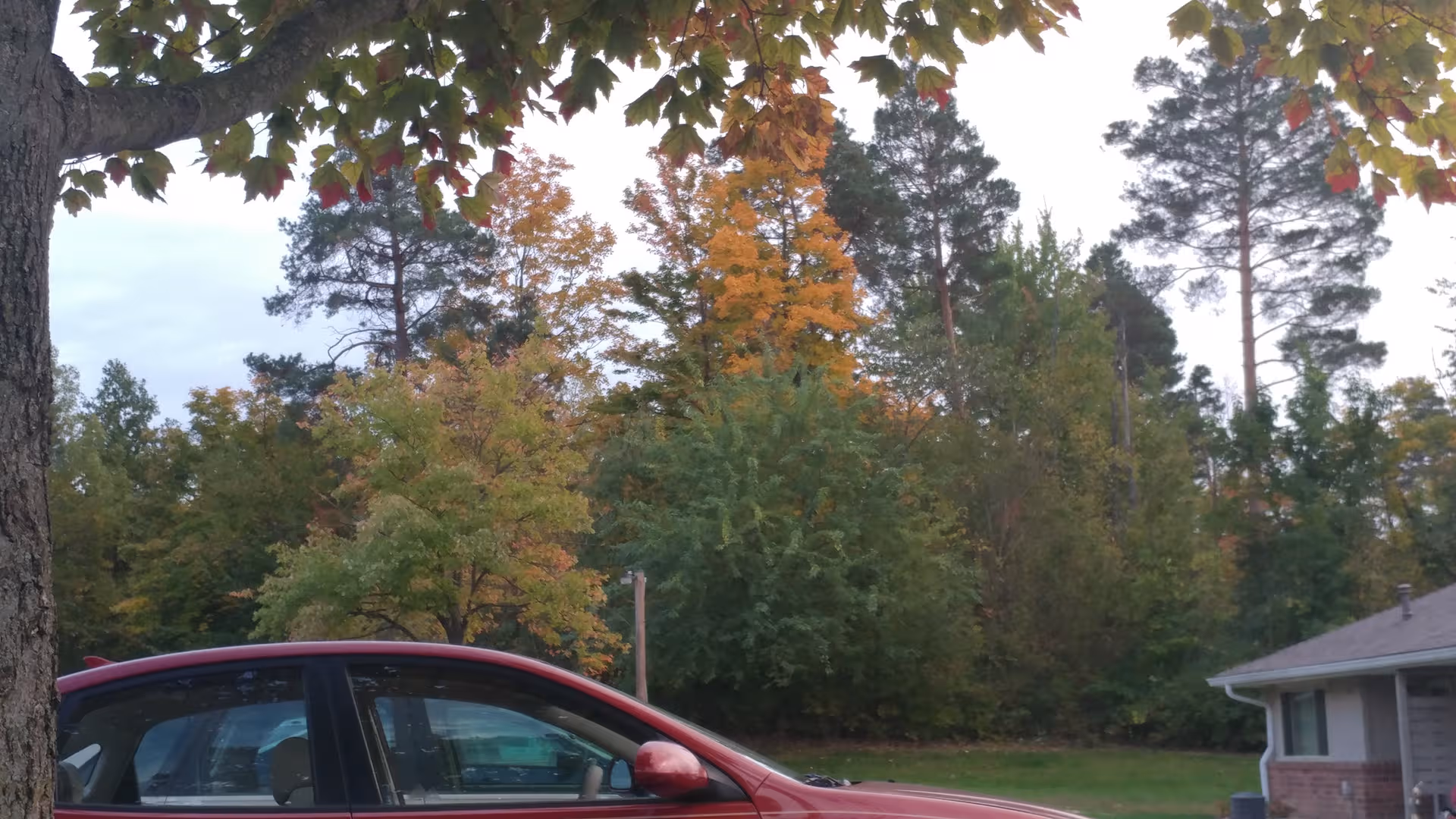 Red car parked outside a single-story building with autumn trees in the background.