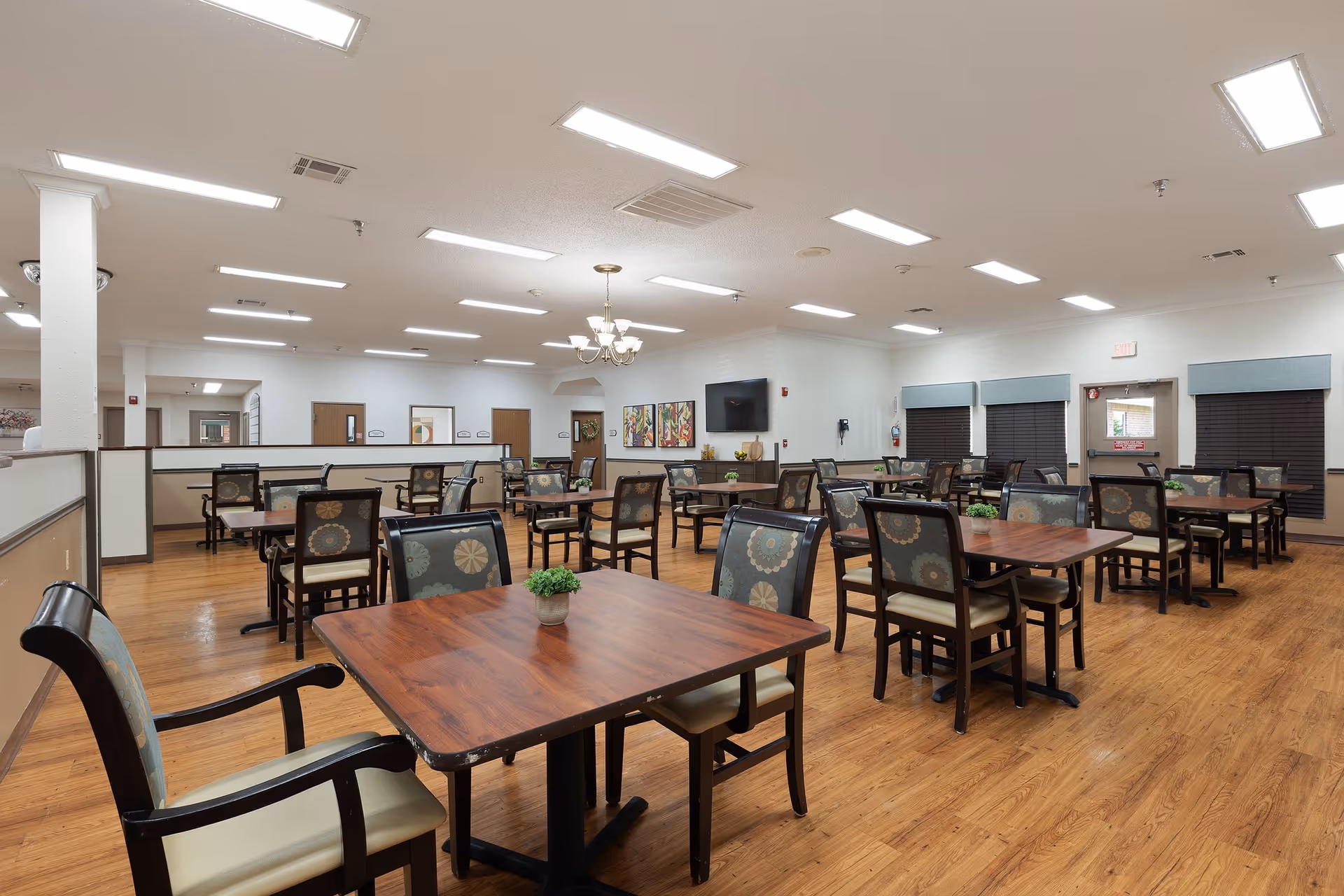 A spacious dining room with multiple wooden tables and cushioned chairs arranged neatly. The room has wooden flooring, white walls, and several ceiling lights. There are small green plants placed on the tables, a wall-mounted TV, and colorful artwork on the walls. Windows with blinds and an exit door are visible in the background.
