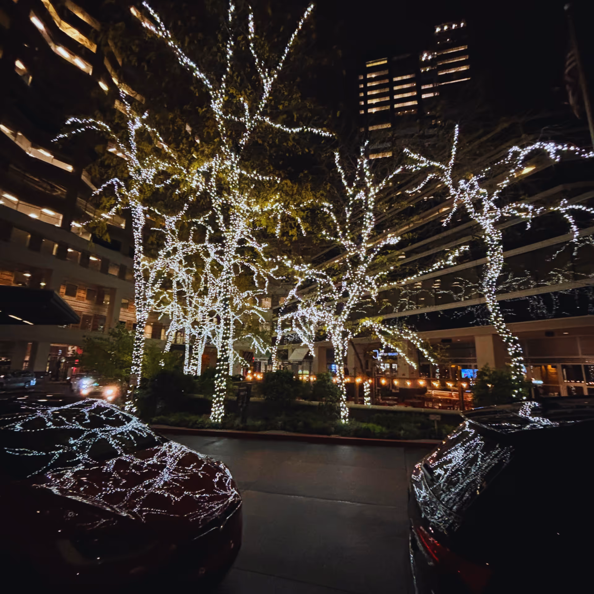 Night view of a courtyard with illuminated trees and parked cars outside a building