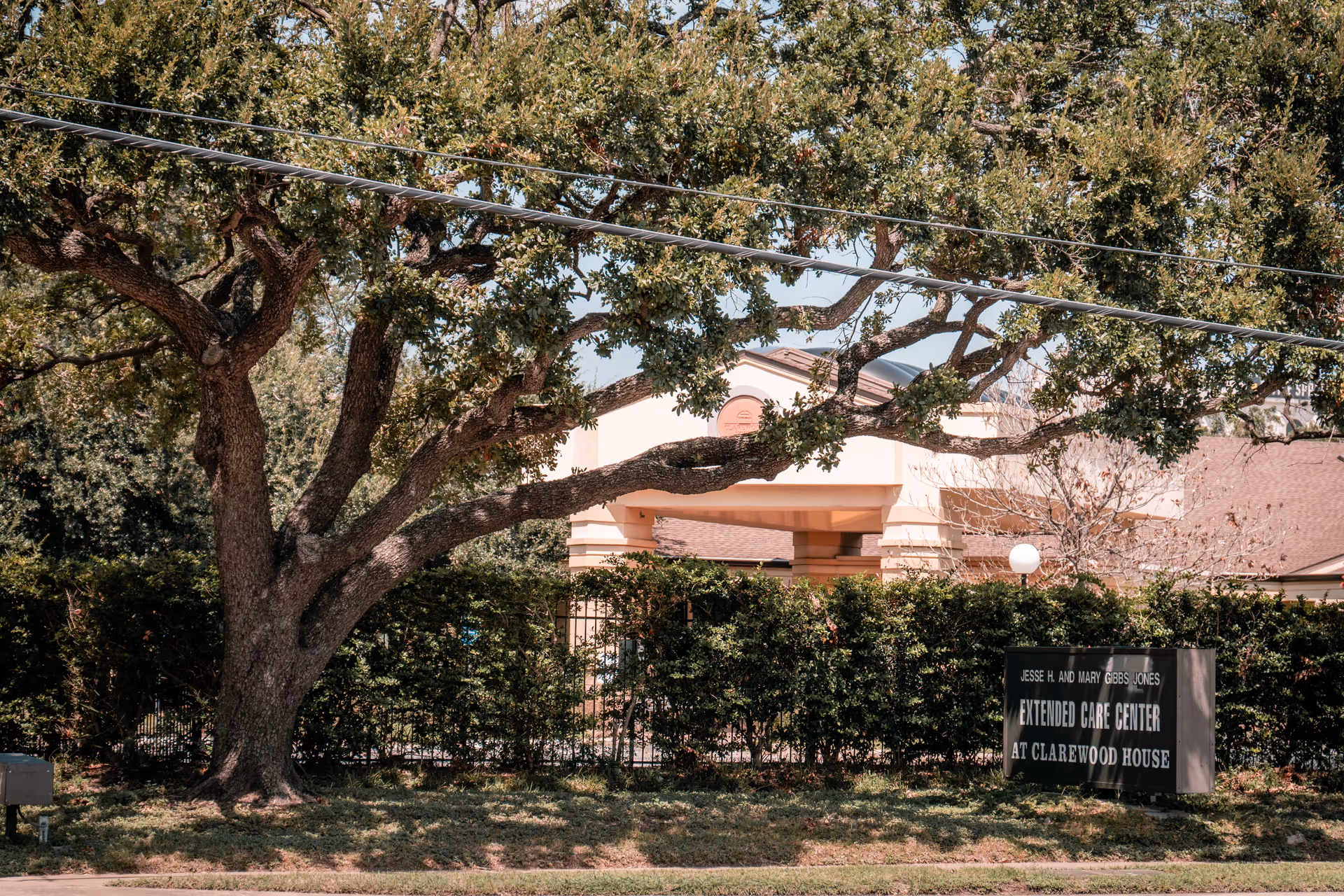 Exterior front of Clarewood House extended care center seen behind a large oak tree and hedge with a sign.