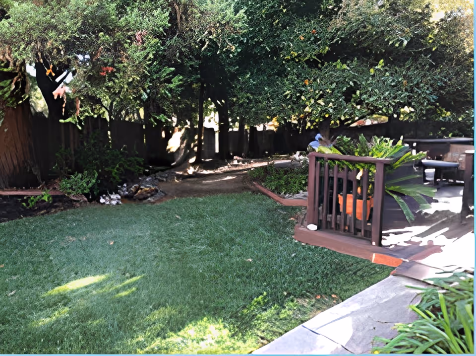 Shaded backyard with a grassy lawn, large trees, and a wooden deck area with potted plants and seating.