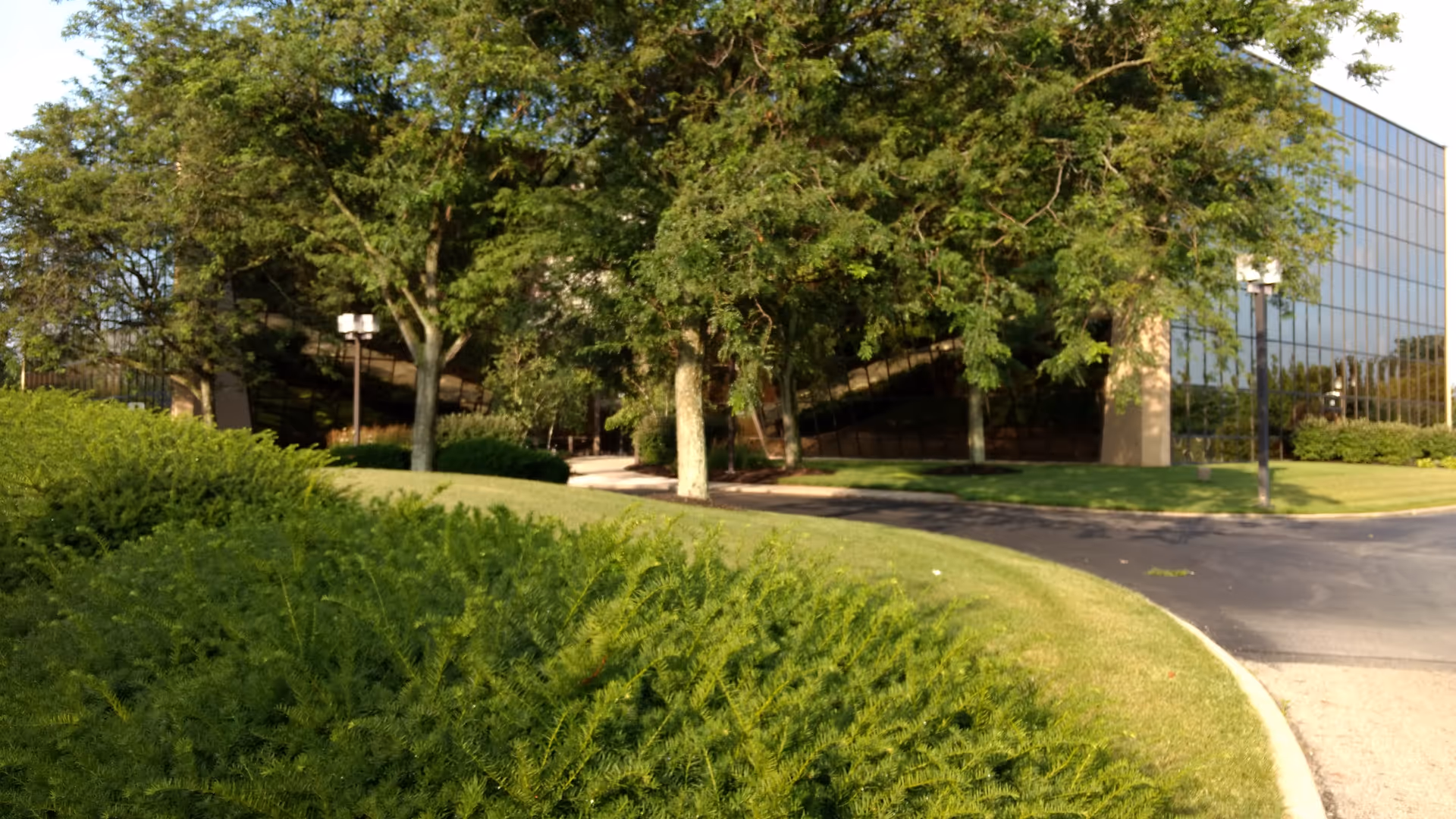 Glass-front building with surrounding trees and a curved driveway.