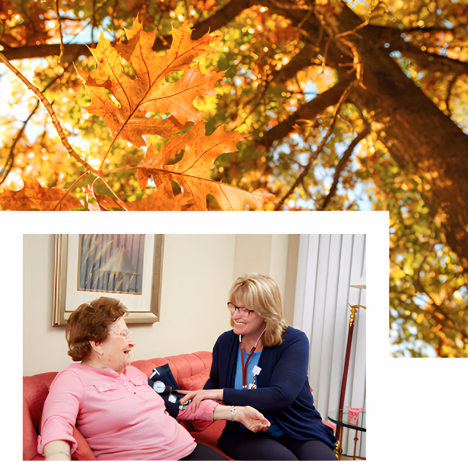 A healthcare professional is taking the blood pressure of an elderly woman sitting on a red couch in a cozy room with a framed picture on the wall and vertical blinds on the window.