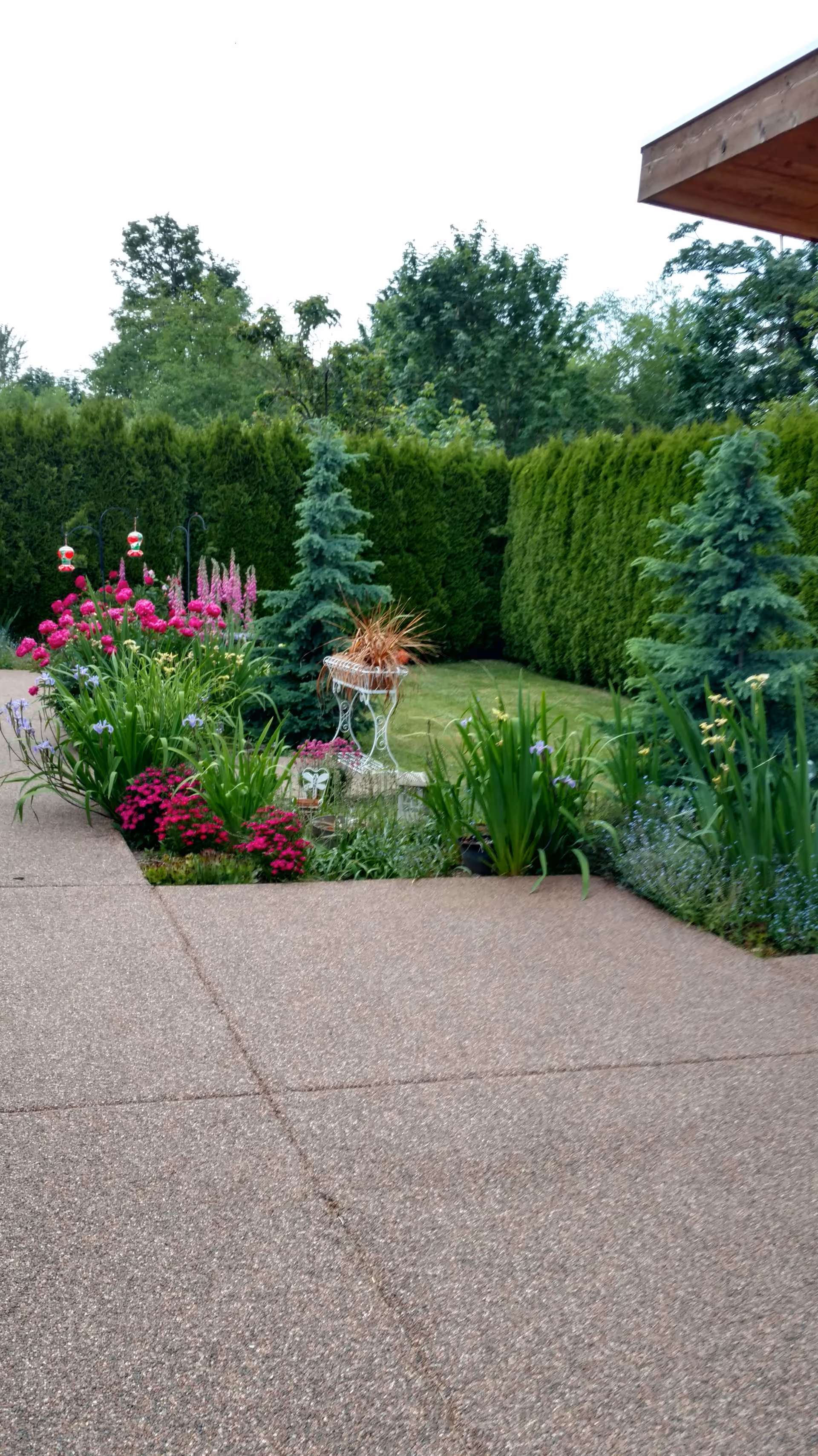 Well-kept garden path with colorful flowers and tall hedges outside a senior living home.
