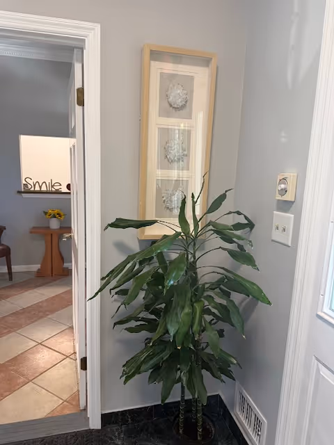 Indoor hallway with a tall plant beside framed wall art in a senior living facility.