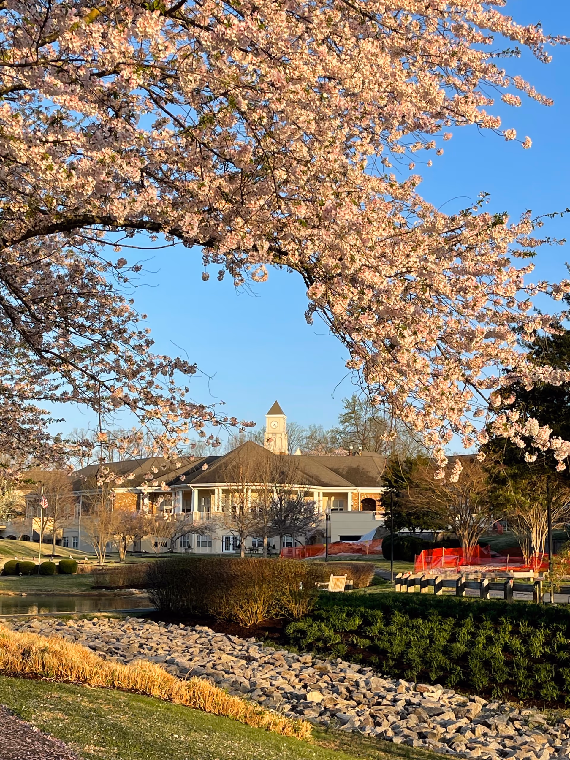 Spring blossoms frame a senior living facility's front exterior with landscaped grounds and a pond.