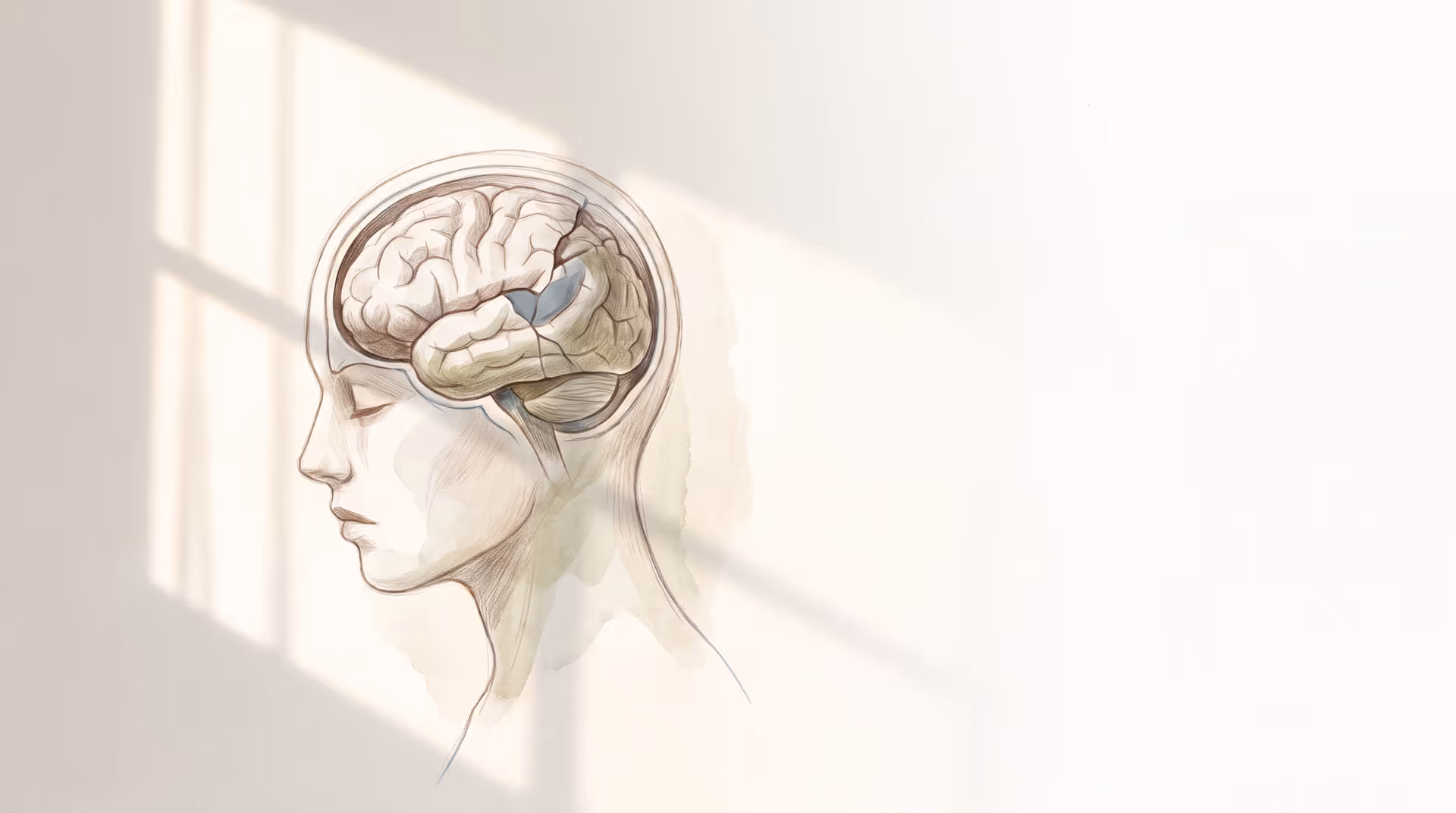 What Is Tramatic Brain Injury