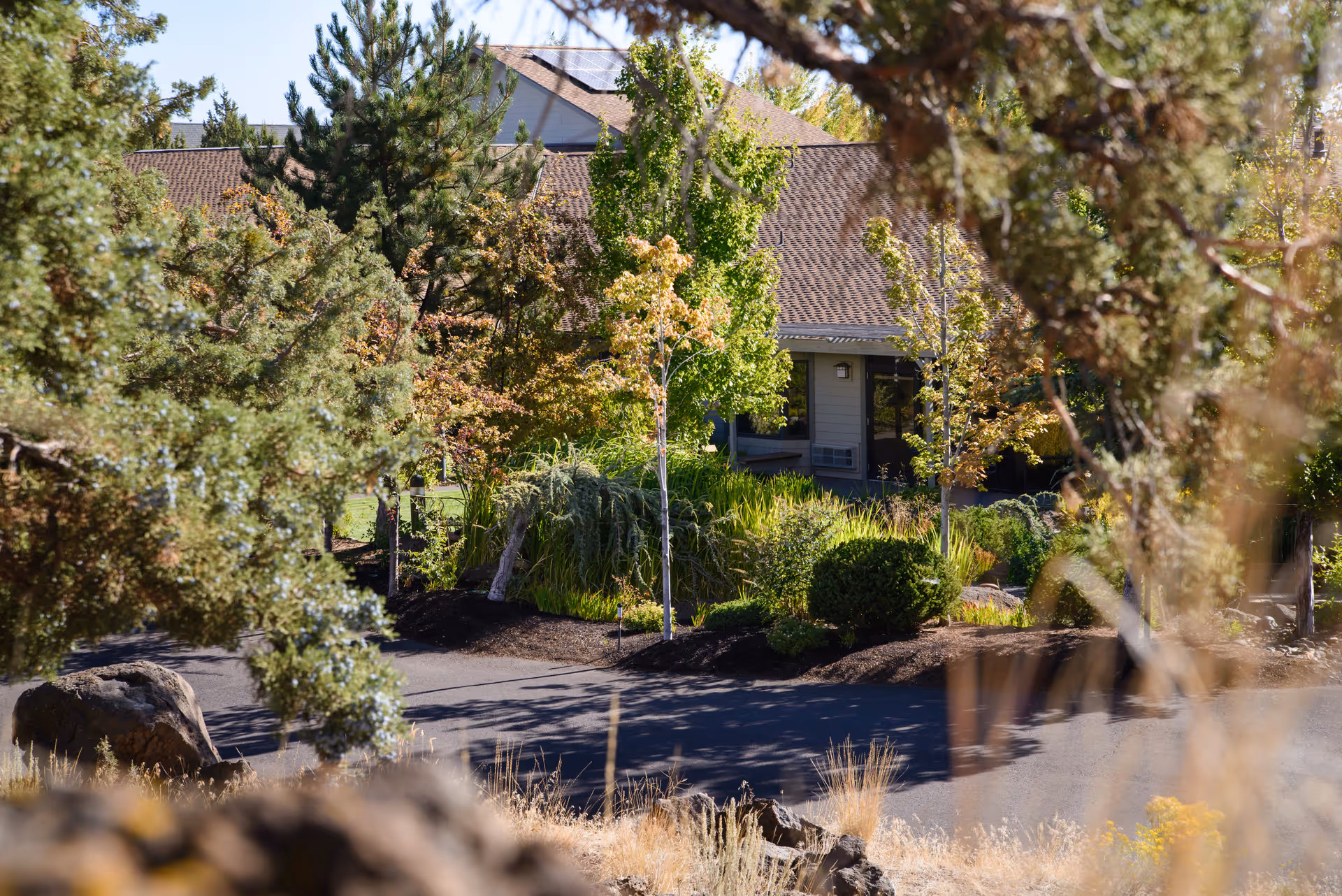 Front exterior of a senior living facility partially obscured by trees and landscaping.