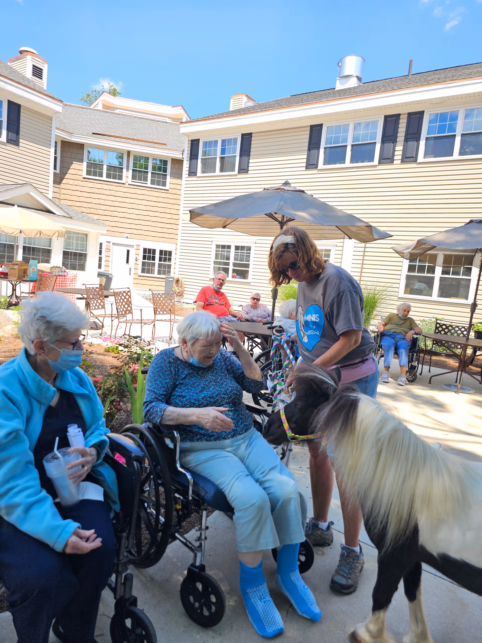 Residents in wheelchairs socialize outside at Ledgewood Beverly courtyard with a dog.