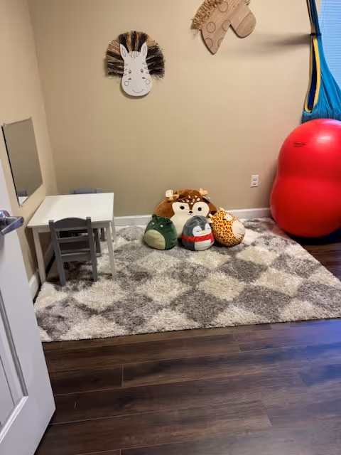 Small play area with table, chairs, rug, stuffed animals, and a red exercise ball.