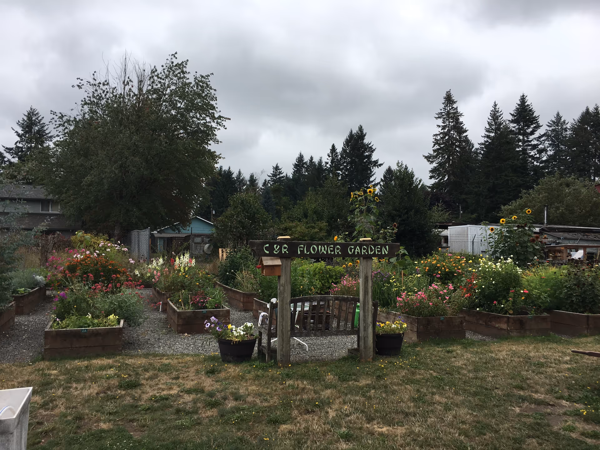 Outdoor community garden with raised beds, colorful flowers, and a wooden arch sign.