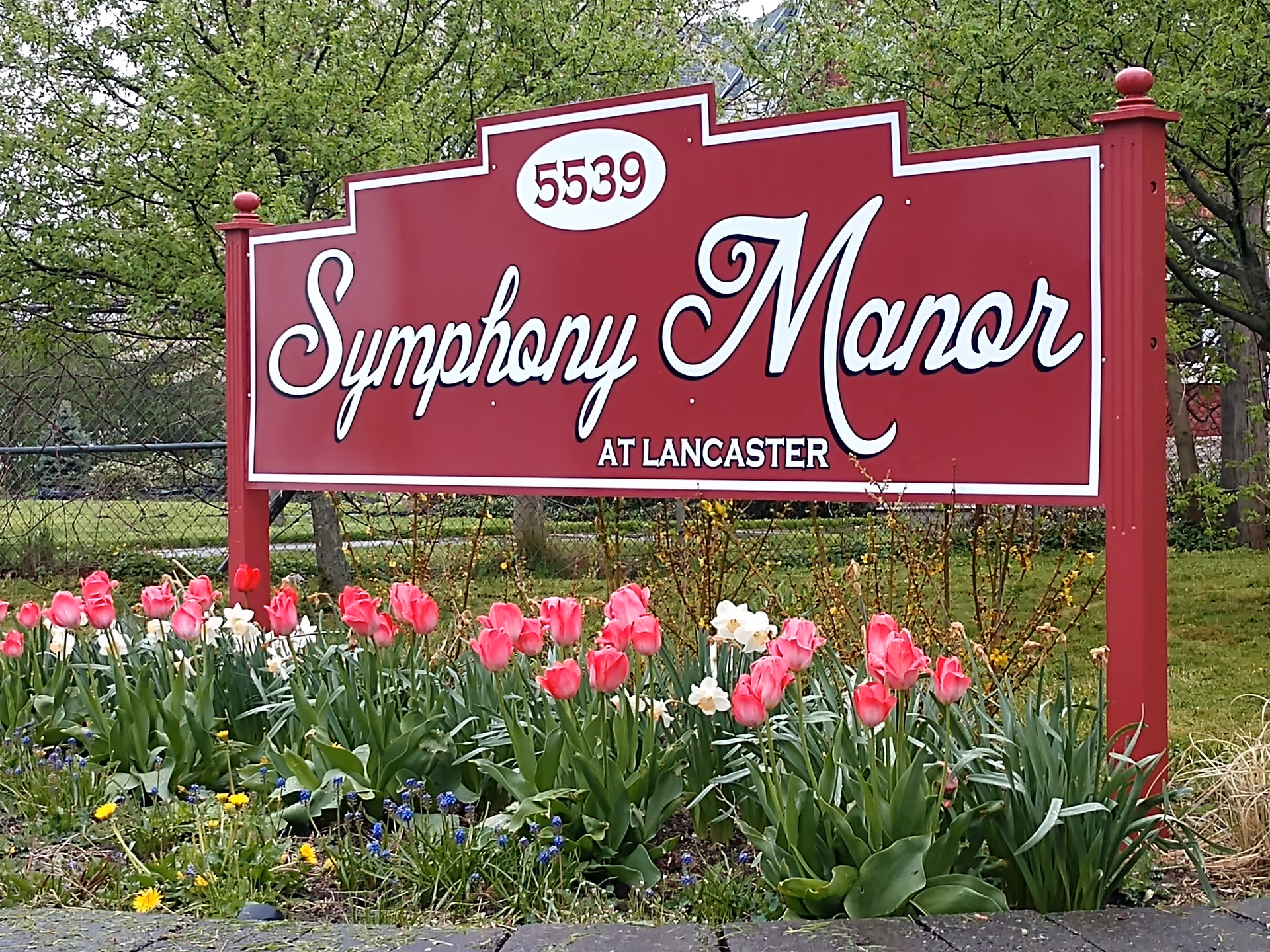 A large red sign with white trim displaying the text '5539 Symphony Manor at Lancaster' surrounded by blooming pink and white tulips and other flowers, with green trees and a chain-link fence in the background.