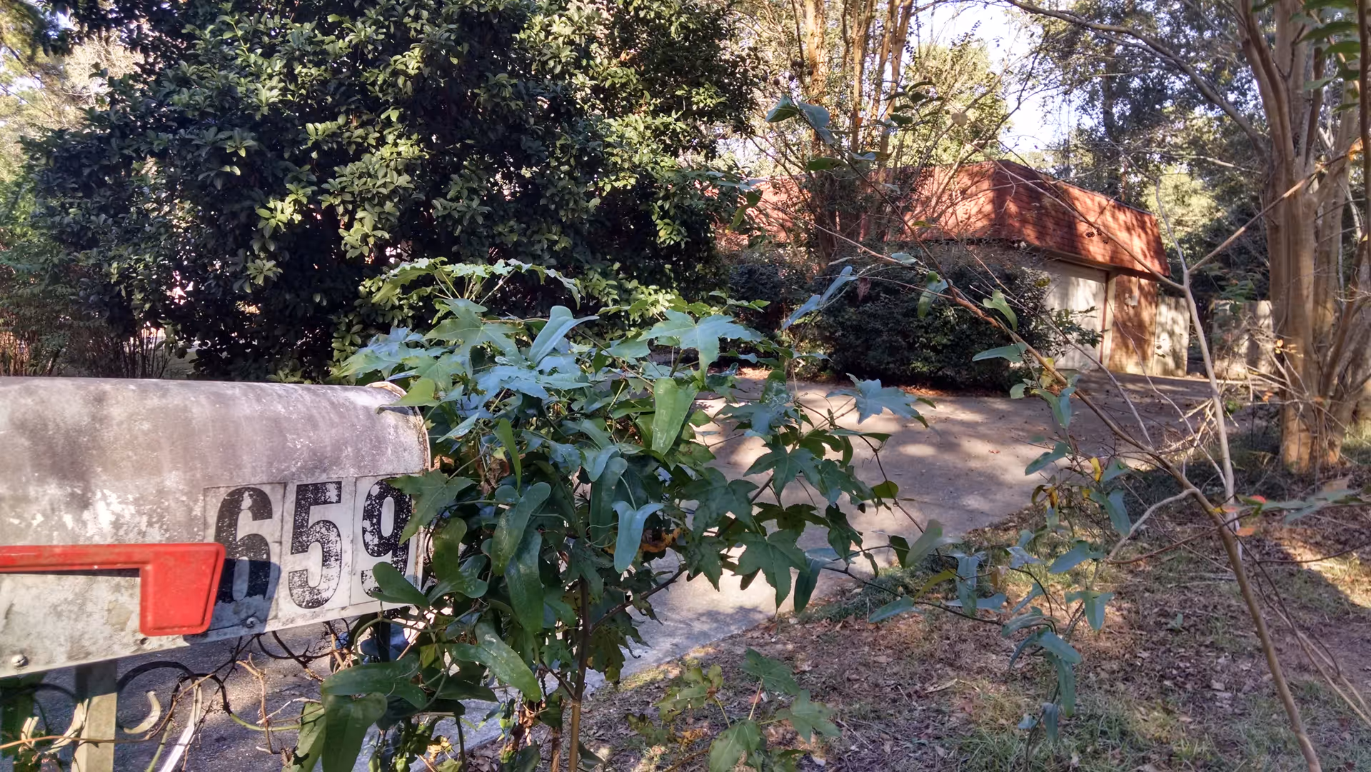 Outdoor view of a mailbox with overgrown plants and a small brick building with red roof.