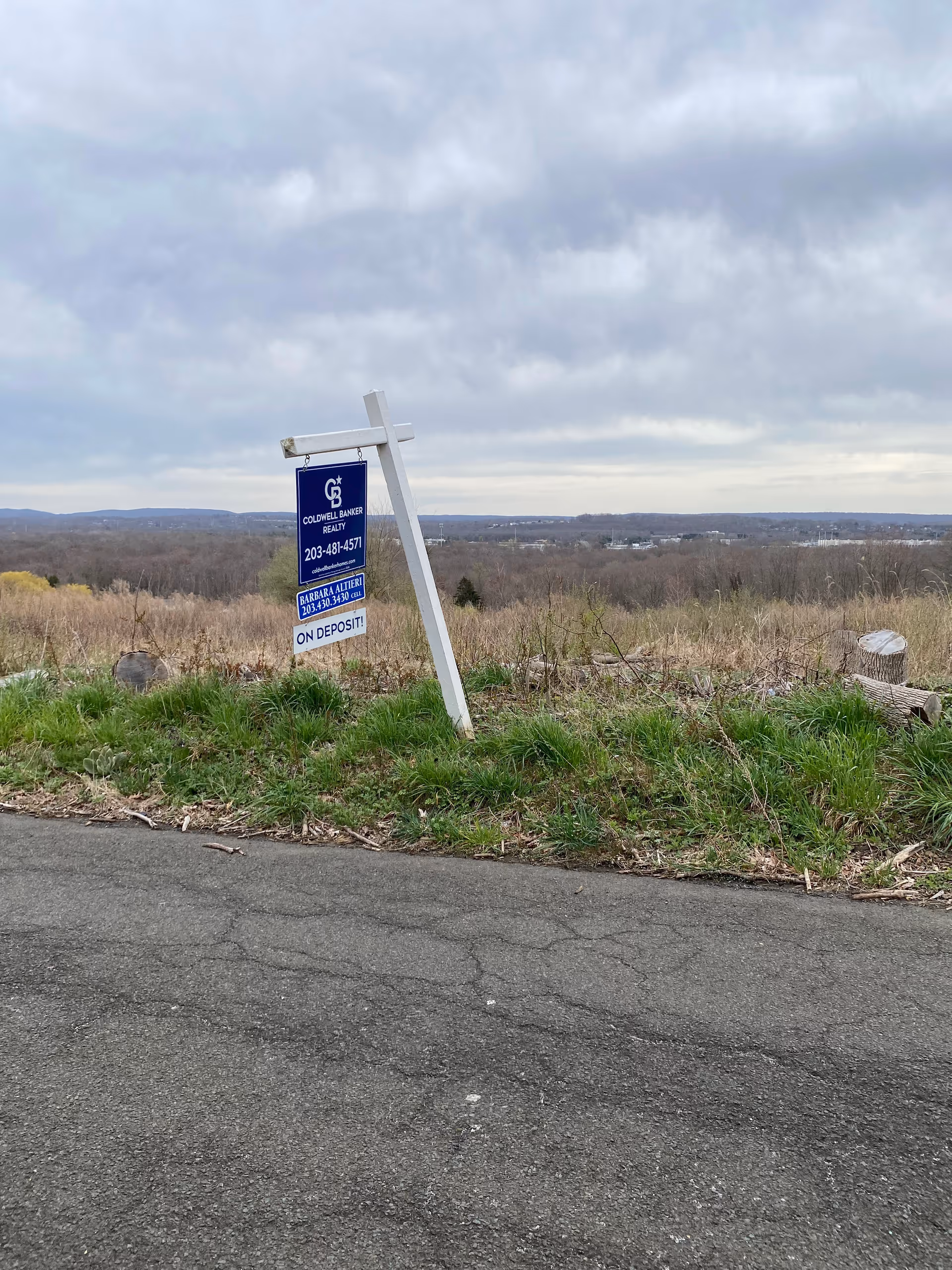 A blue real estate sign on a grassy hillside beside a paved road.