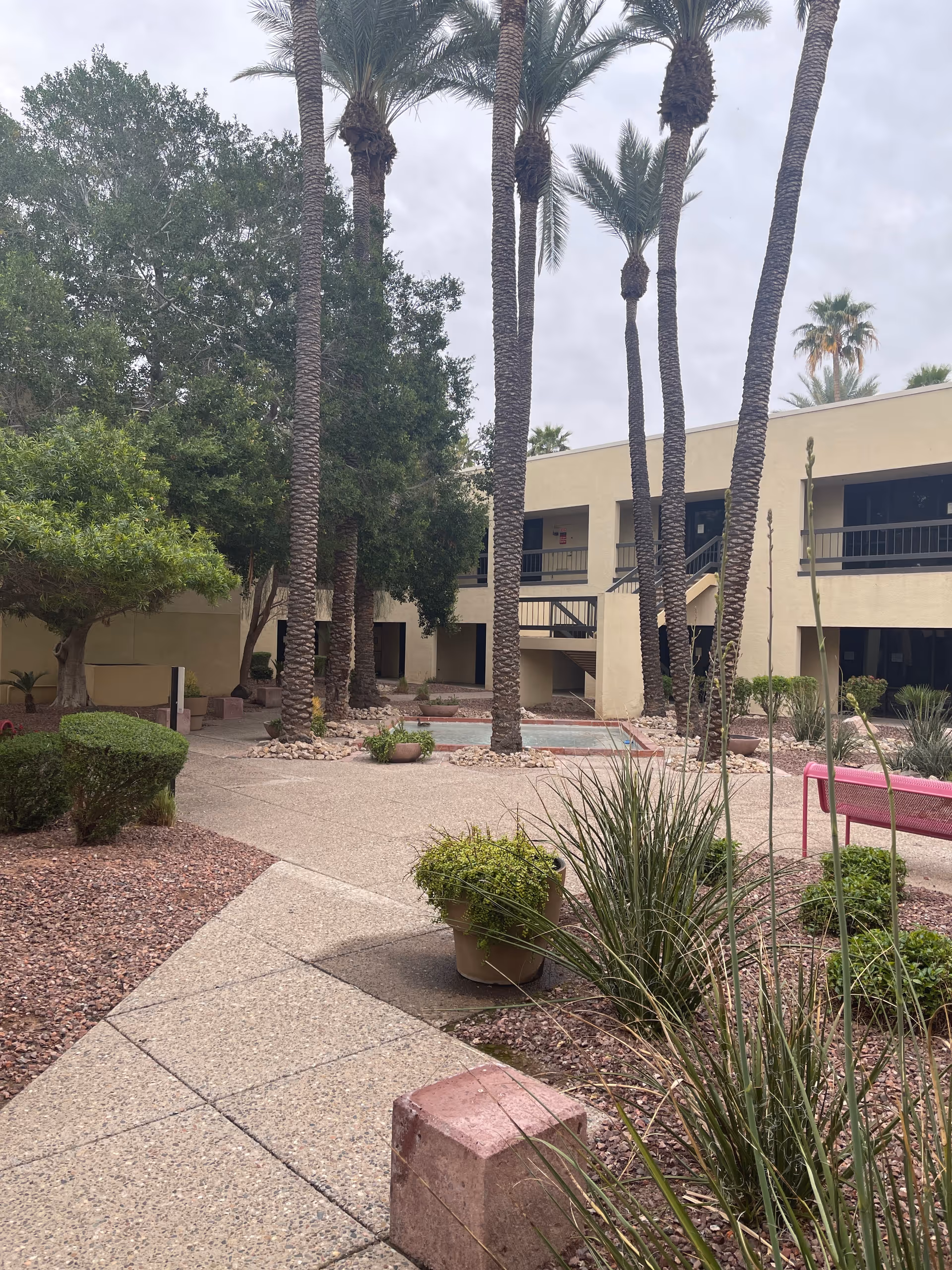 Exterior courtyard of a senior living building with palm trees, planters, and seating.