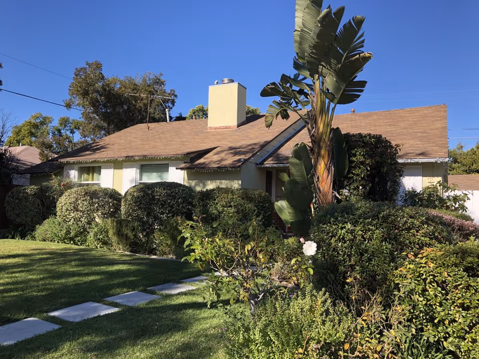 Single-story house with manicured lawn, shrubs, and a tall palm-like plant in front yard.