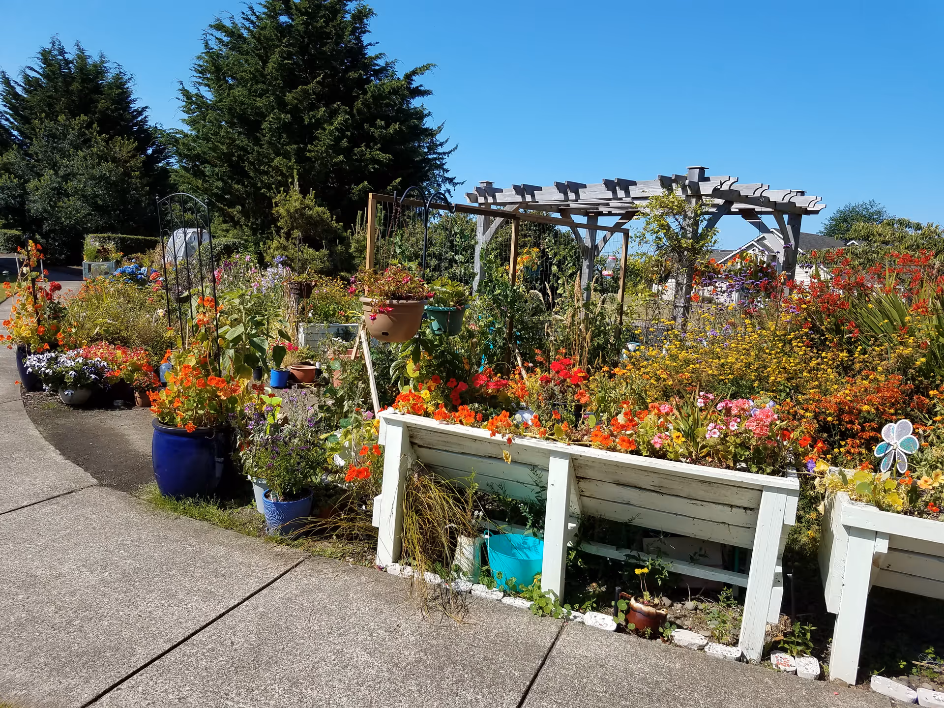 A sunny outdoor garden with colorful flowers, pots, and a wooden trellis.