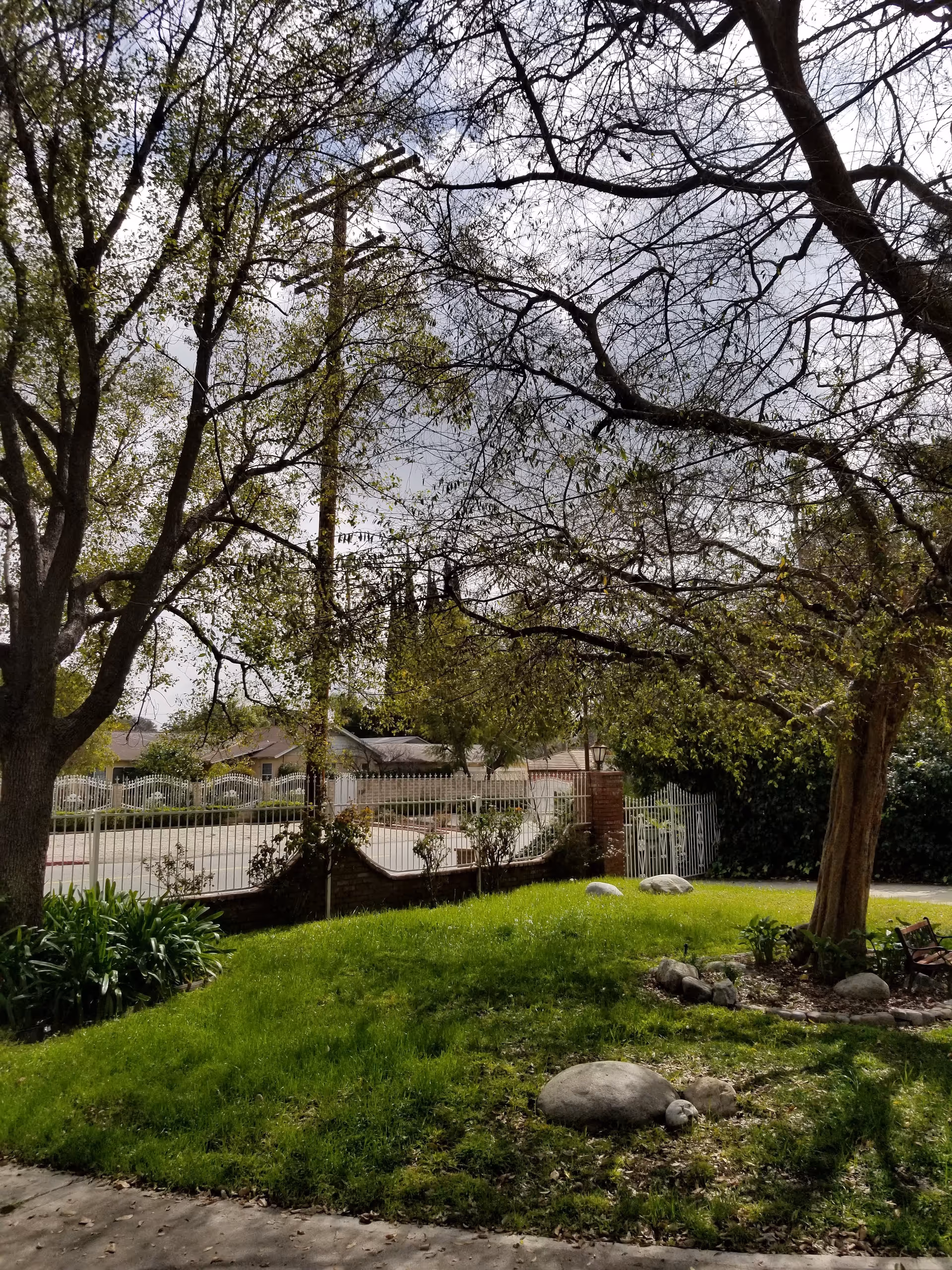 Outdoor grassy yard with trees, rocks, and a white fence along a street.