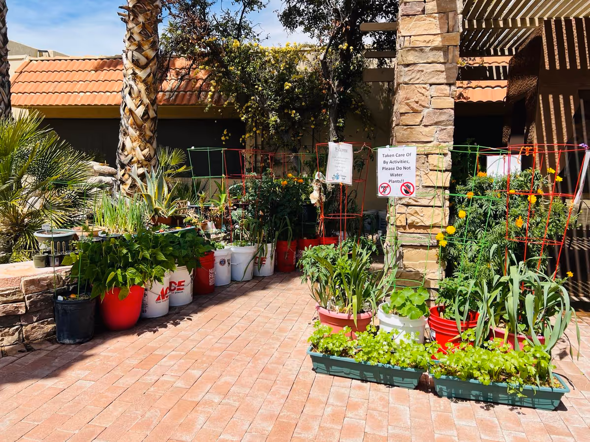 Sunny outdoor courtyard with potted plants along brick-paved patio and stone pillars.