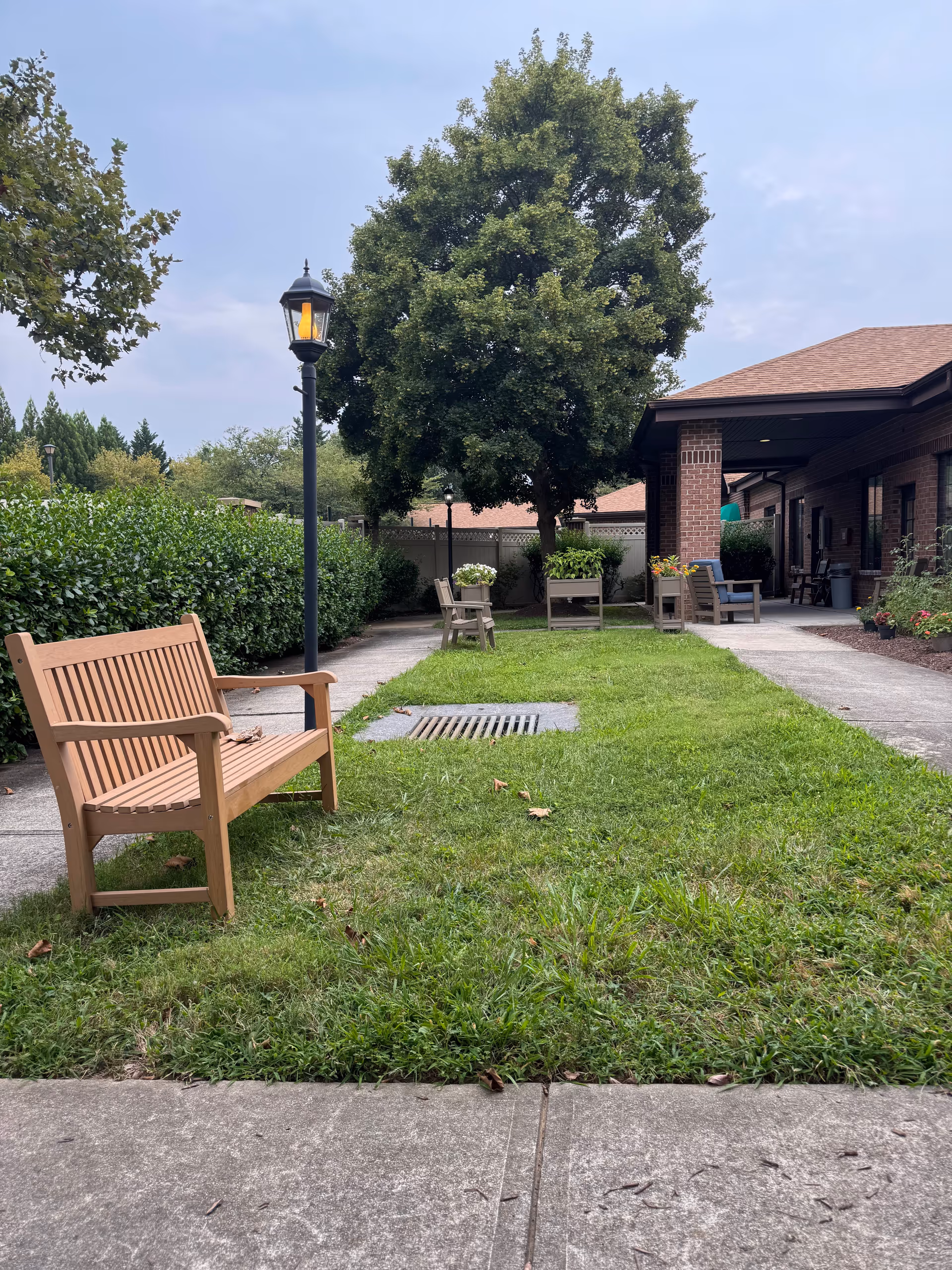 A grassy outdoor courtyard with benches, trees, and a building entrance.