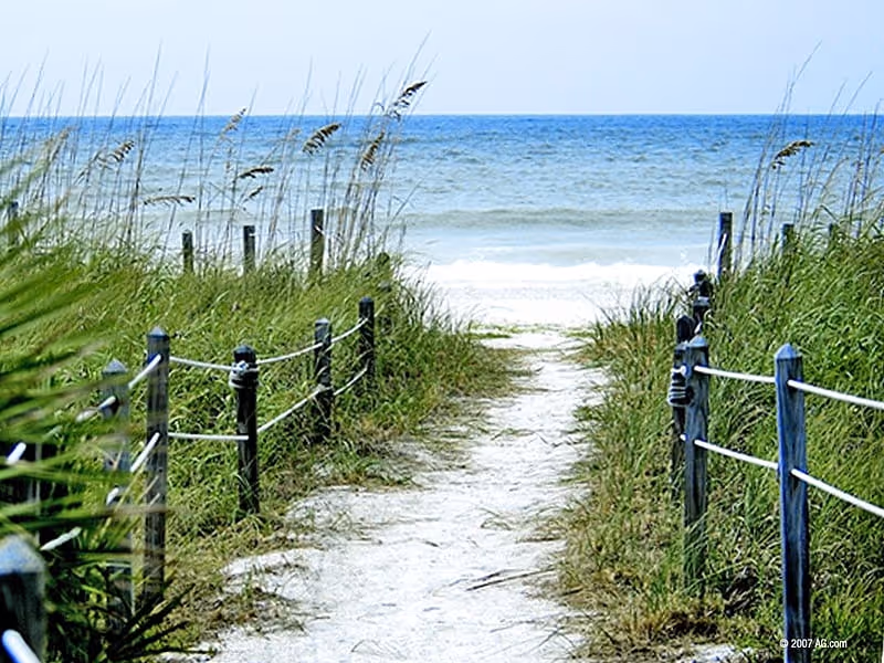 Path through dune grasses leads to a sandy beach and blue ocean horizon.